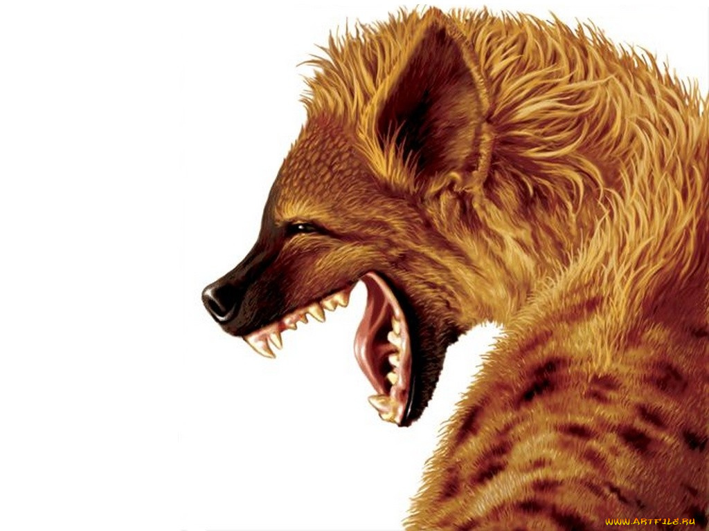 рисованные, животные, гиены