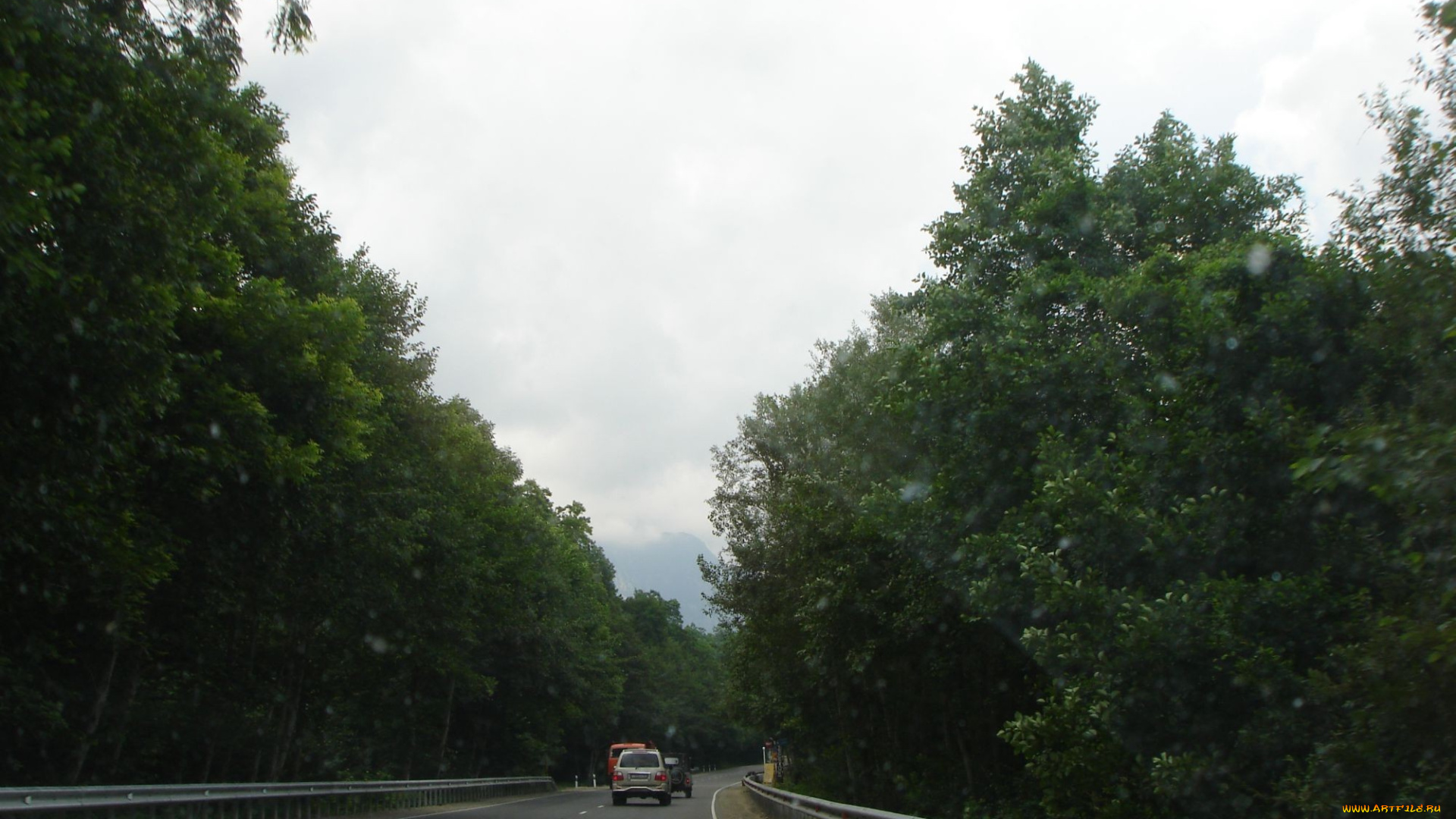 дороги, краснодарского, края, природа