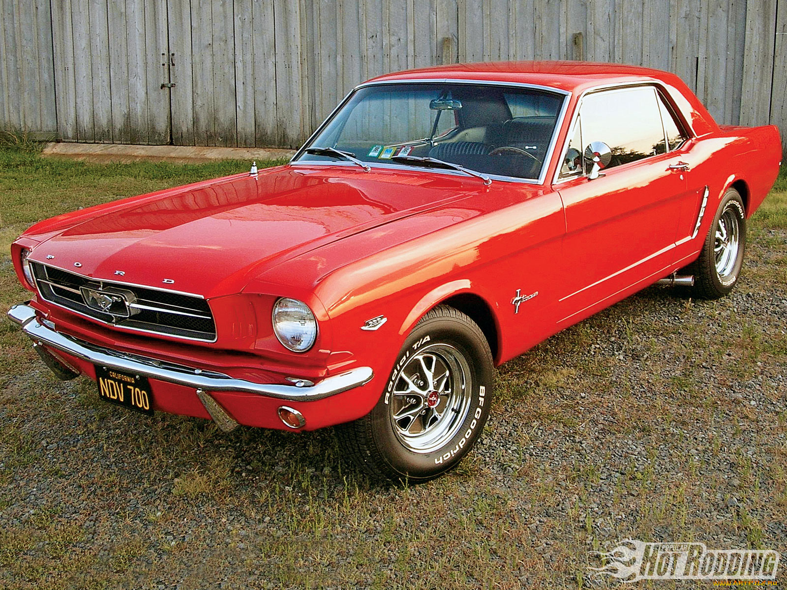 автомобили, mustang