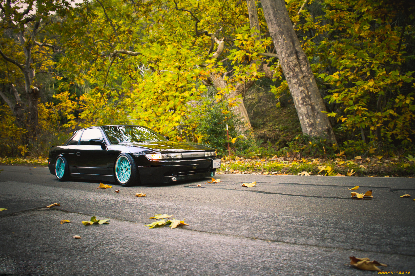 автомобили, nissan, datsun