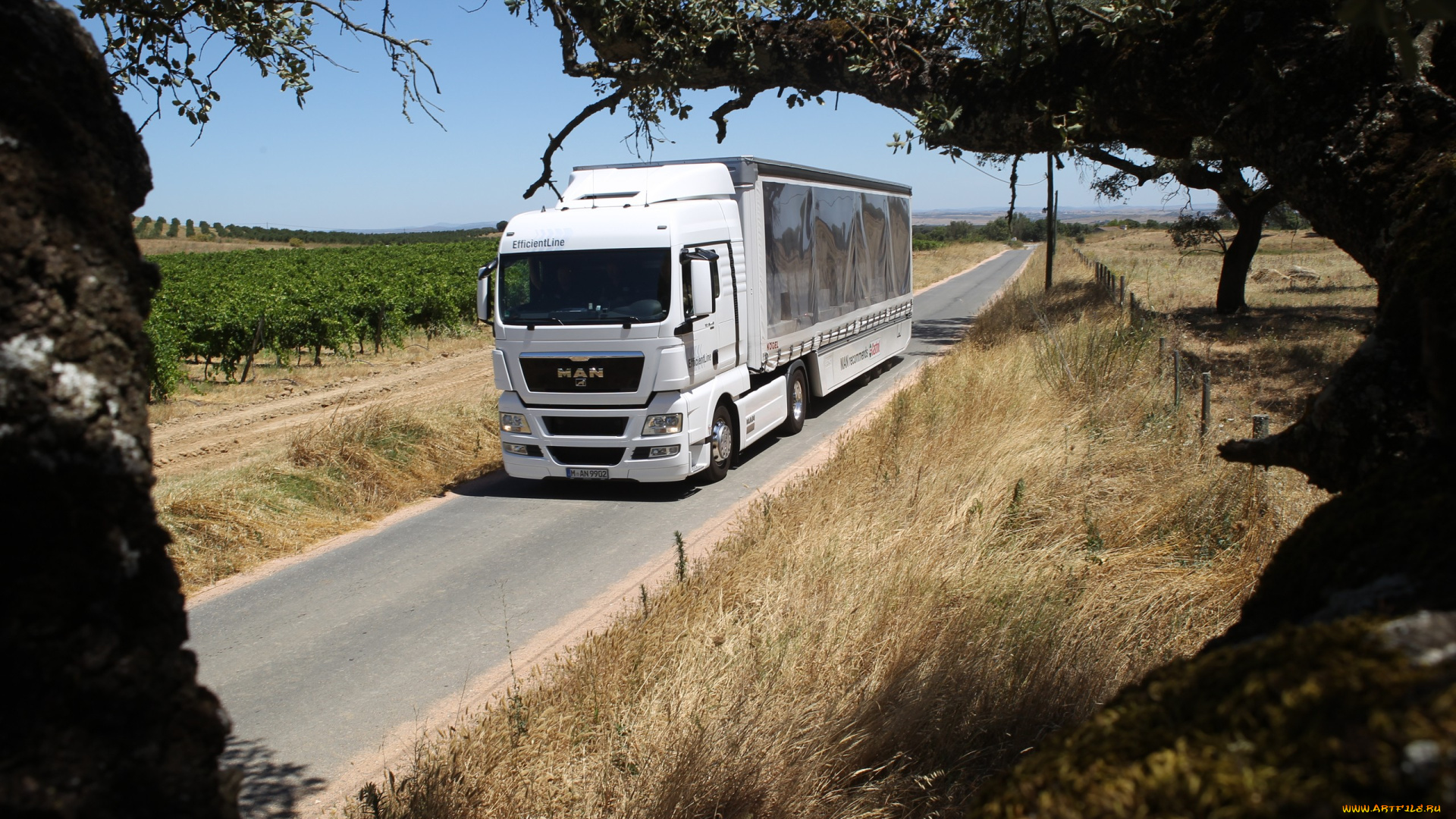 автомобили, man, грузовик, авто