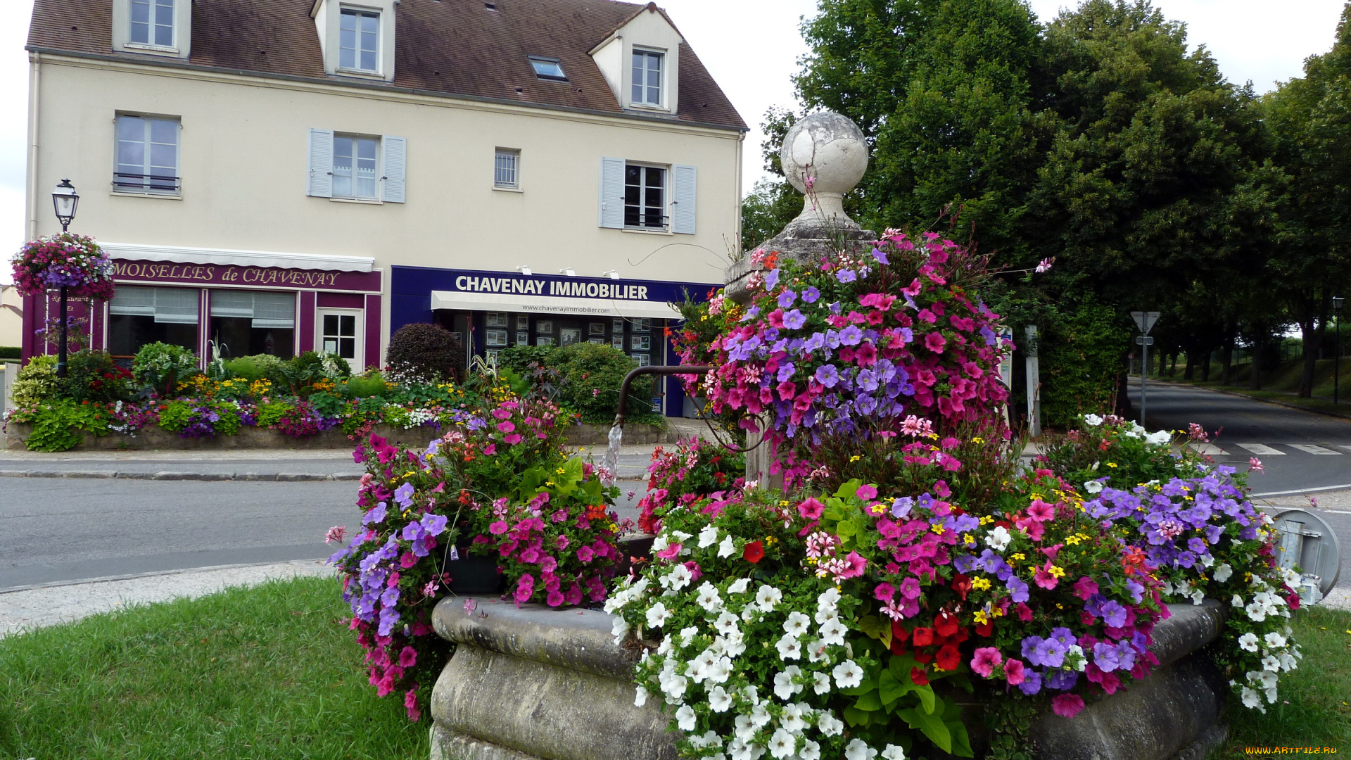 цветы, петунии, калибрахоа, здание, клумбы