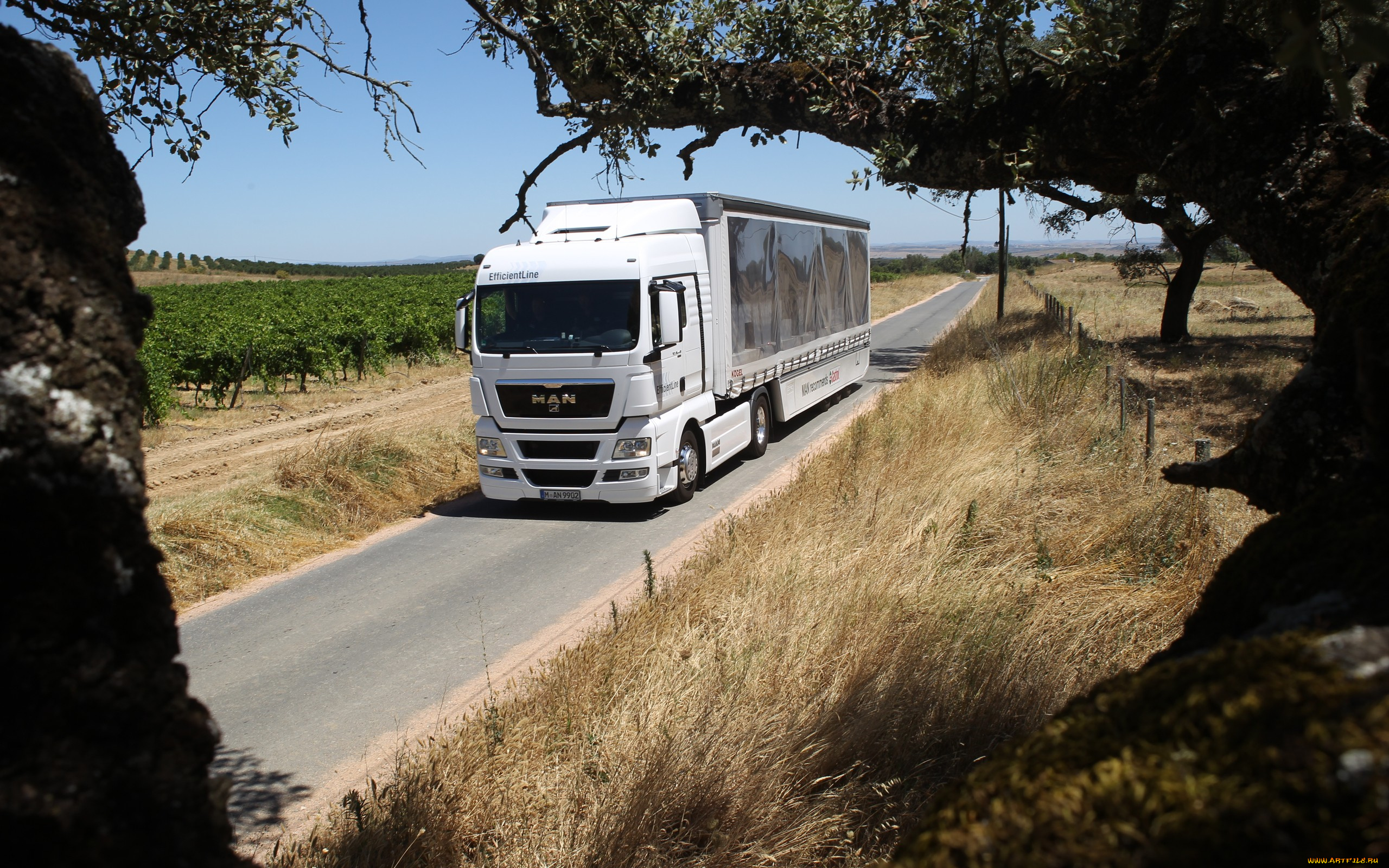 автомобили, man, грузовик, авто