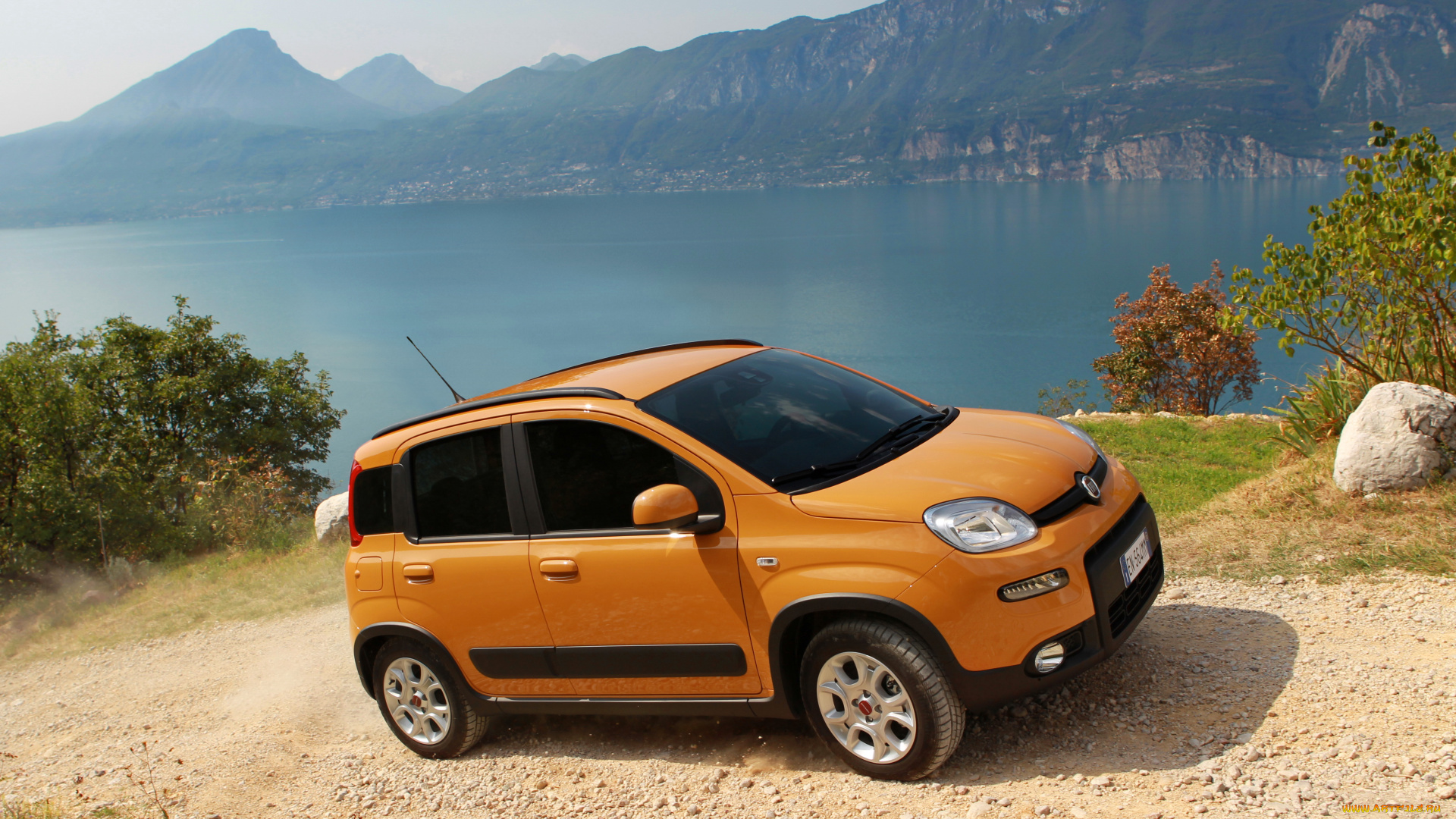2012, fiat, panda, trekking, автомобили