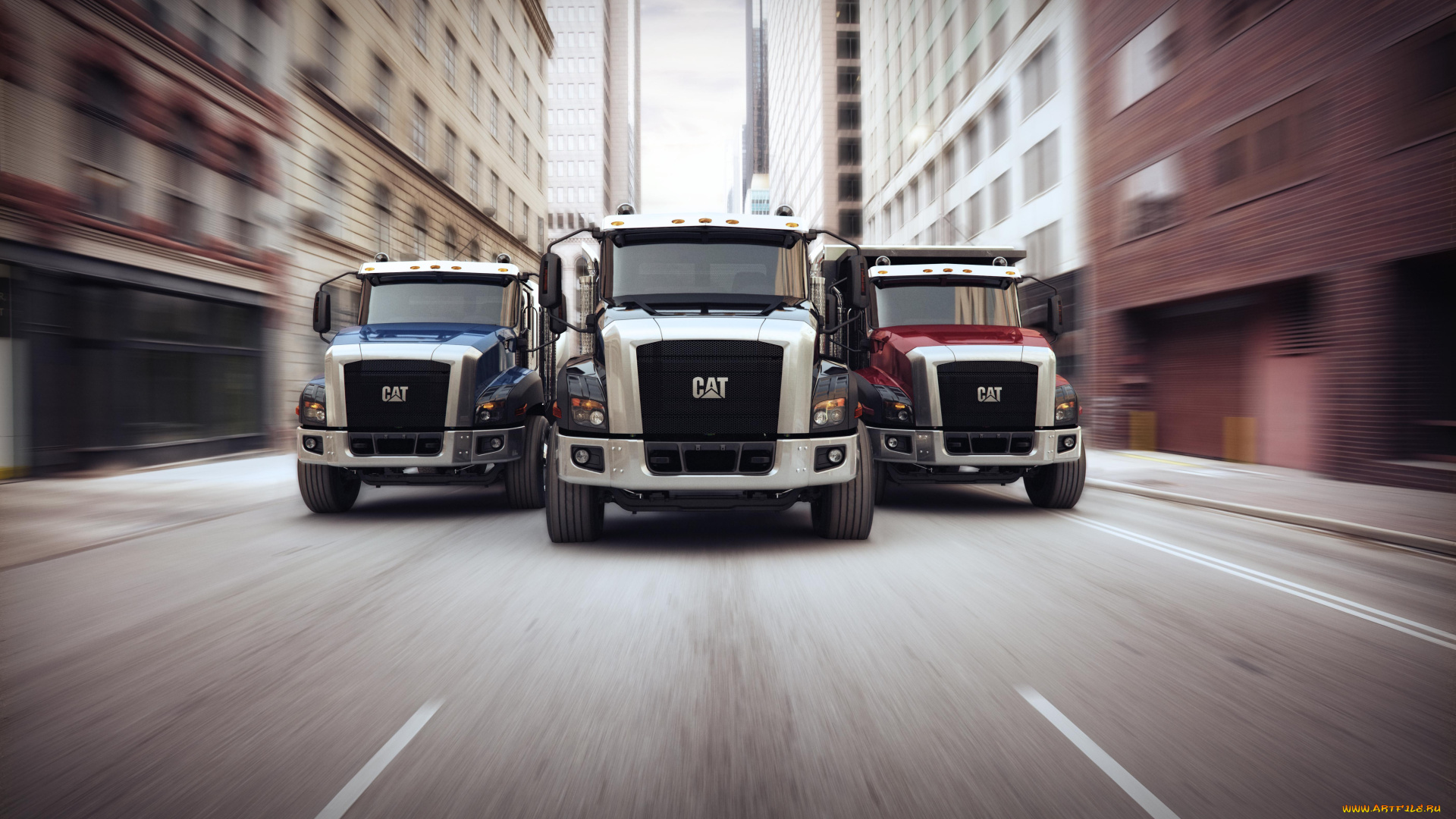 автомобили, cat, trucks, cat