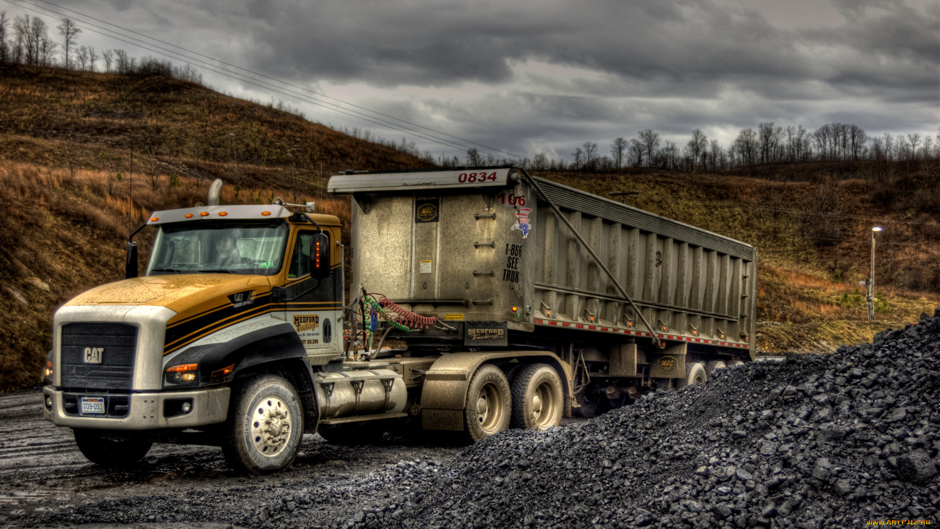автомобили, cat, trucks, cat