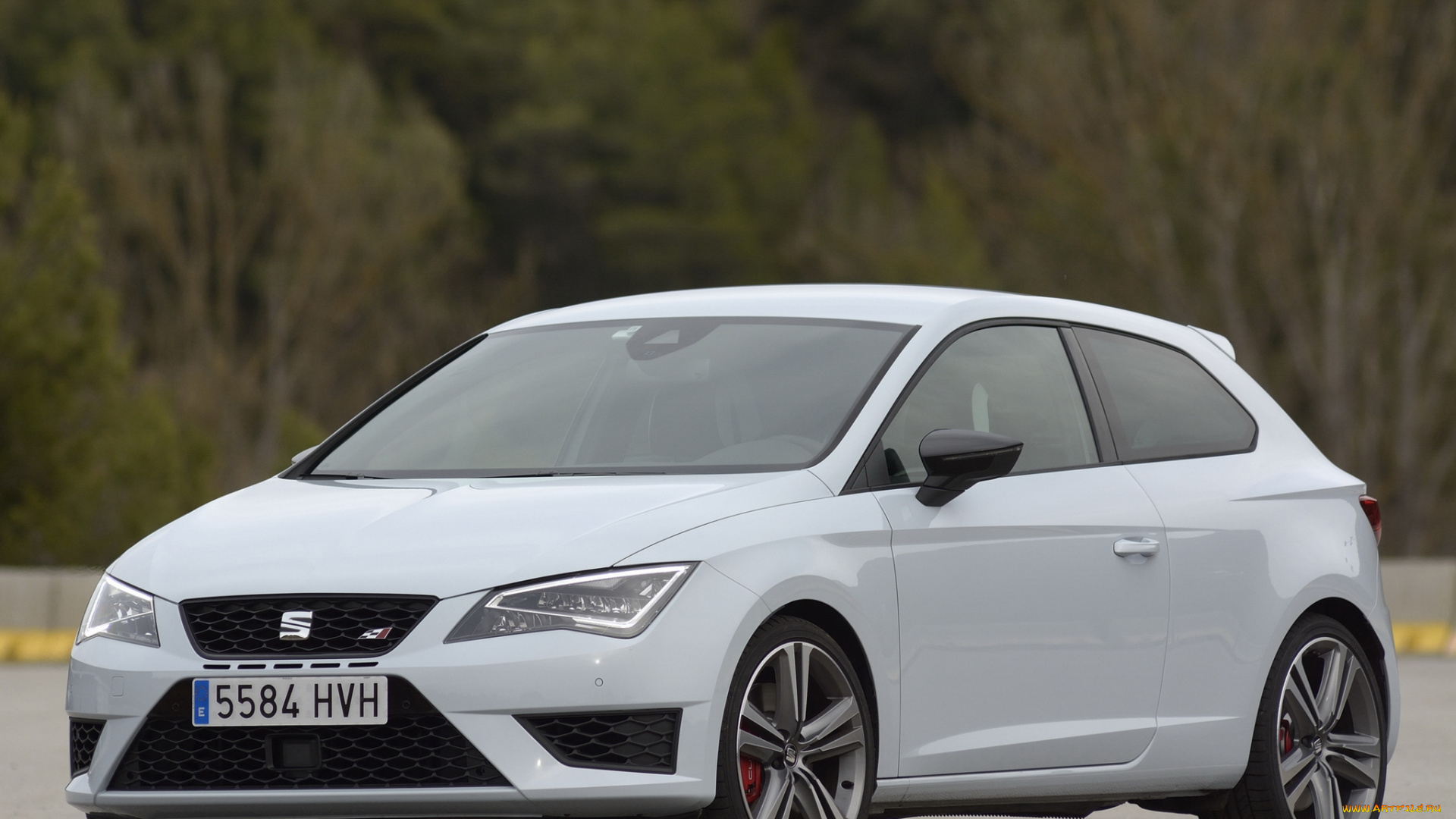автомобили, seat, светлый, 2014г, 280, cupra, sc, leon