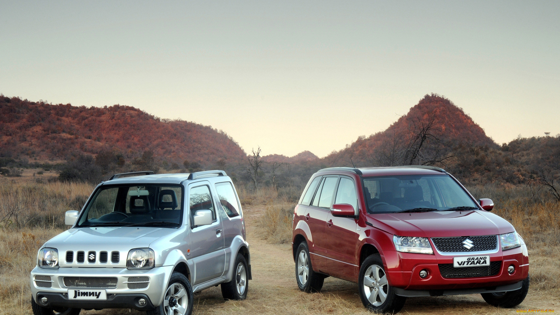 автомобили, suzuki