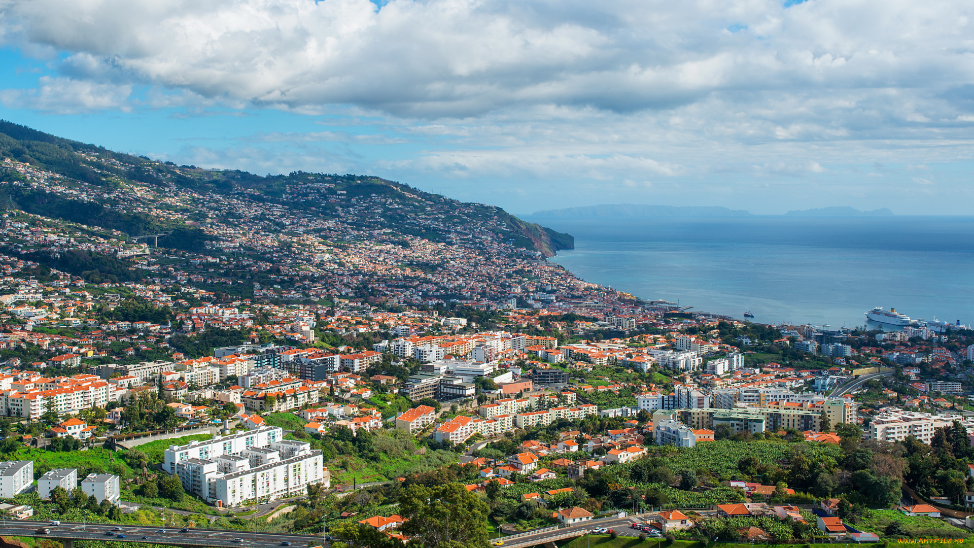 funchal, madeira, португалия, города, -, панорамы, португалия, мадейра, дома, море, панорама