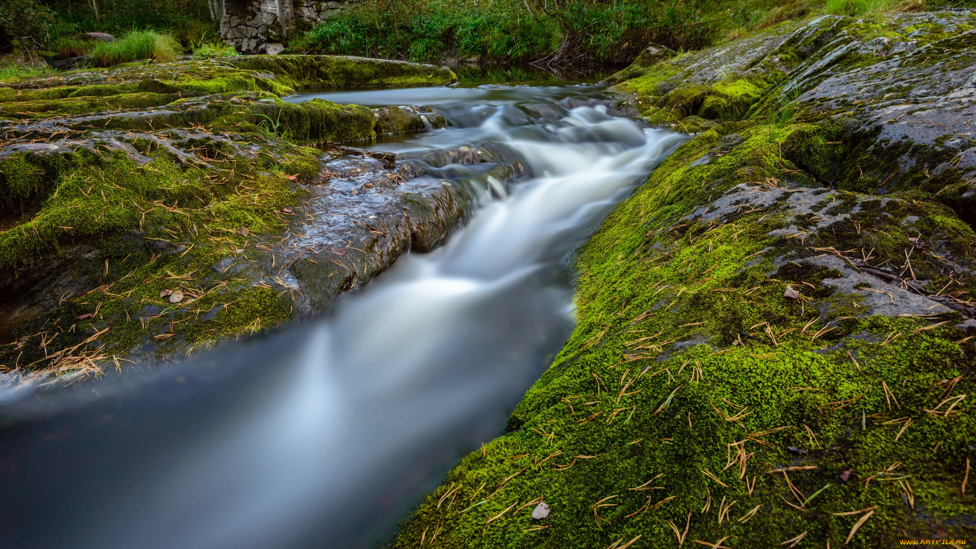 природа, реки, озера, мох, водопад, поток