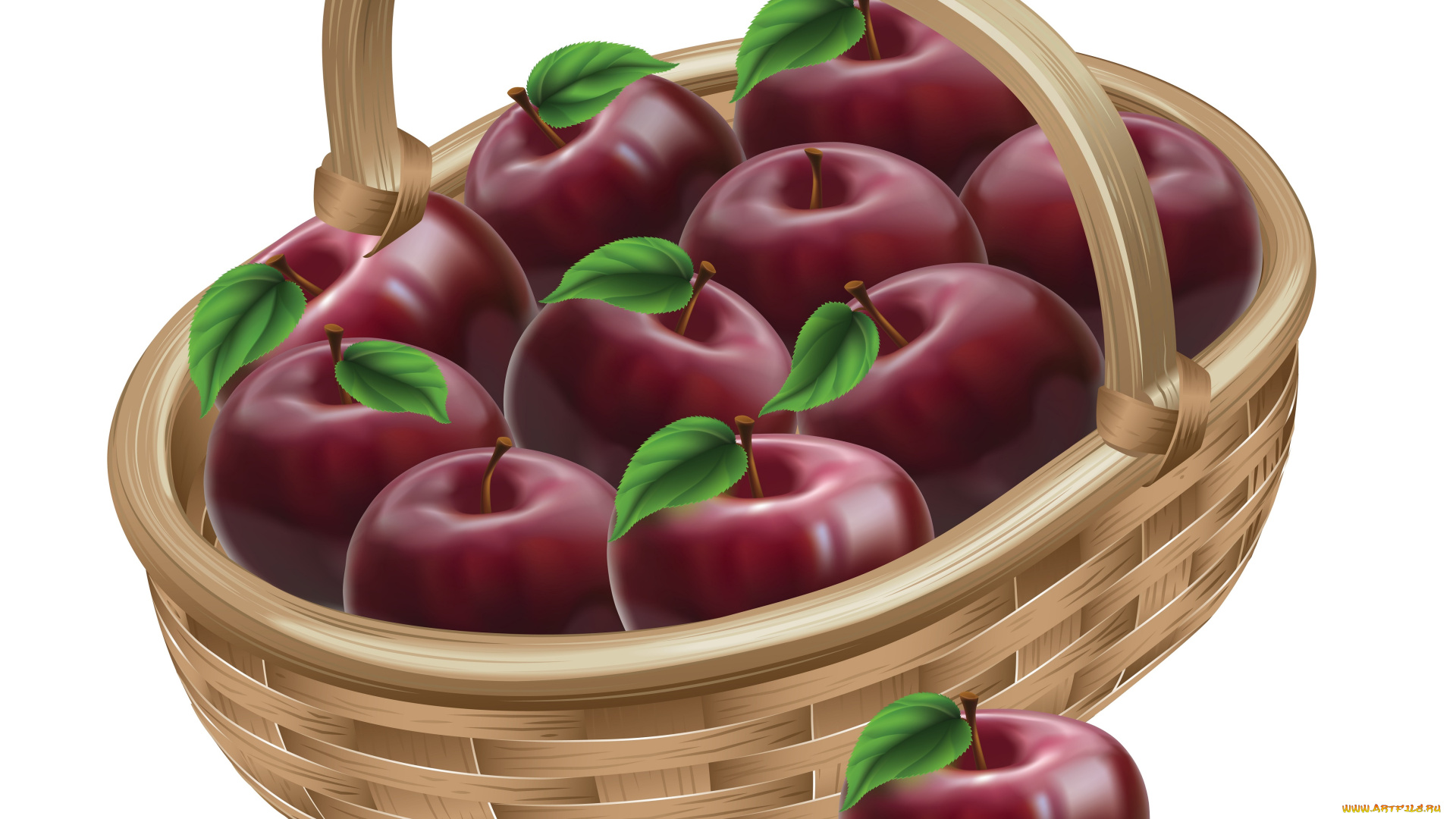 векторная, графика, корзина, яблока