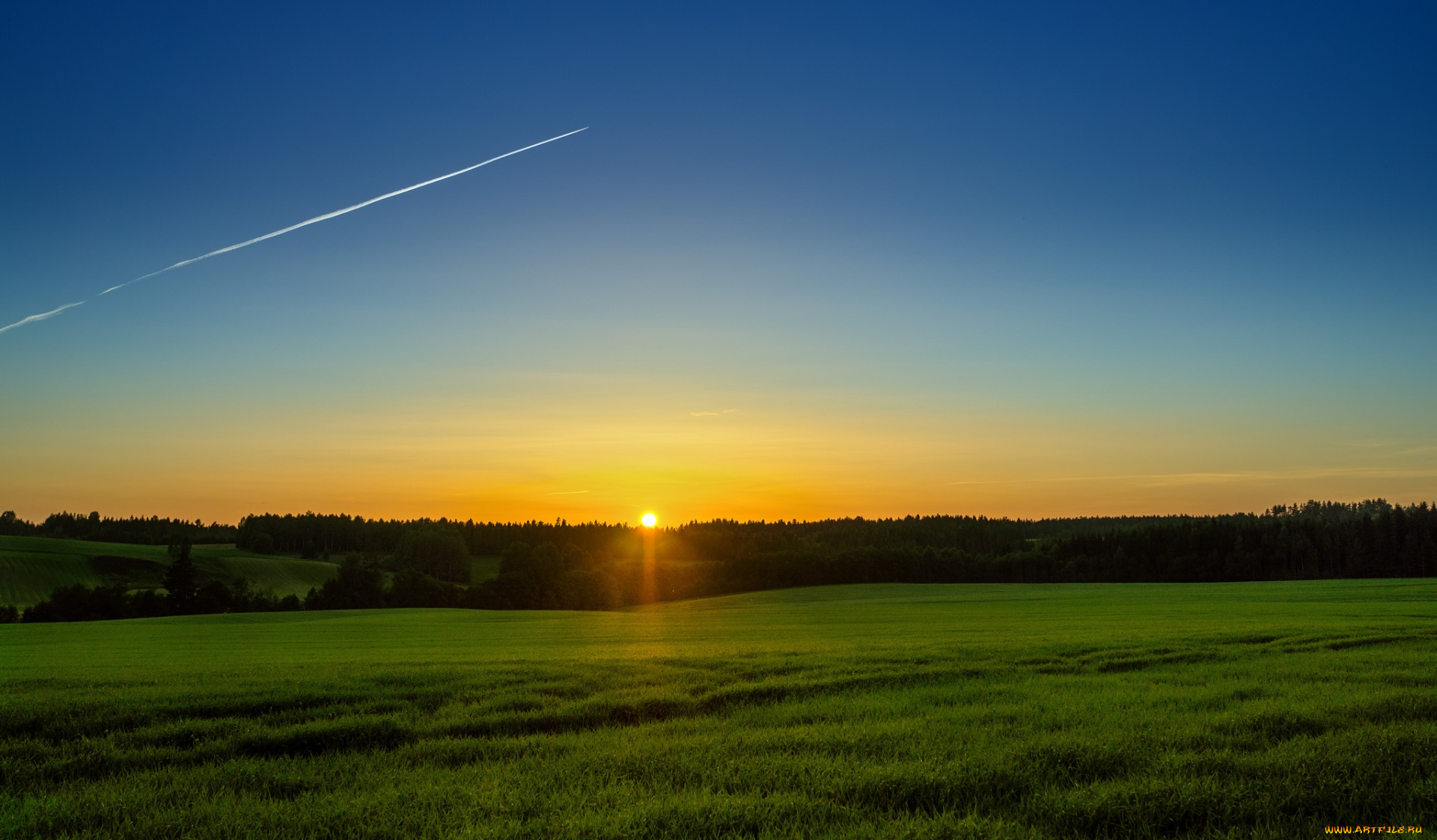 природа, поля, поле, солнце, восход