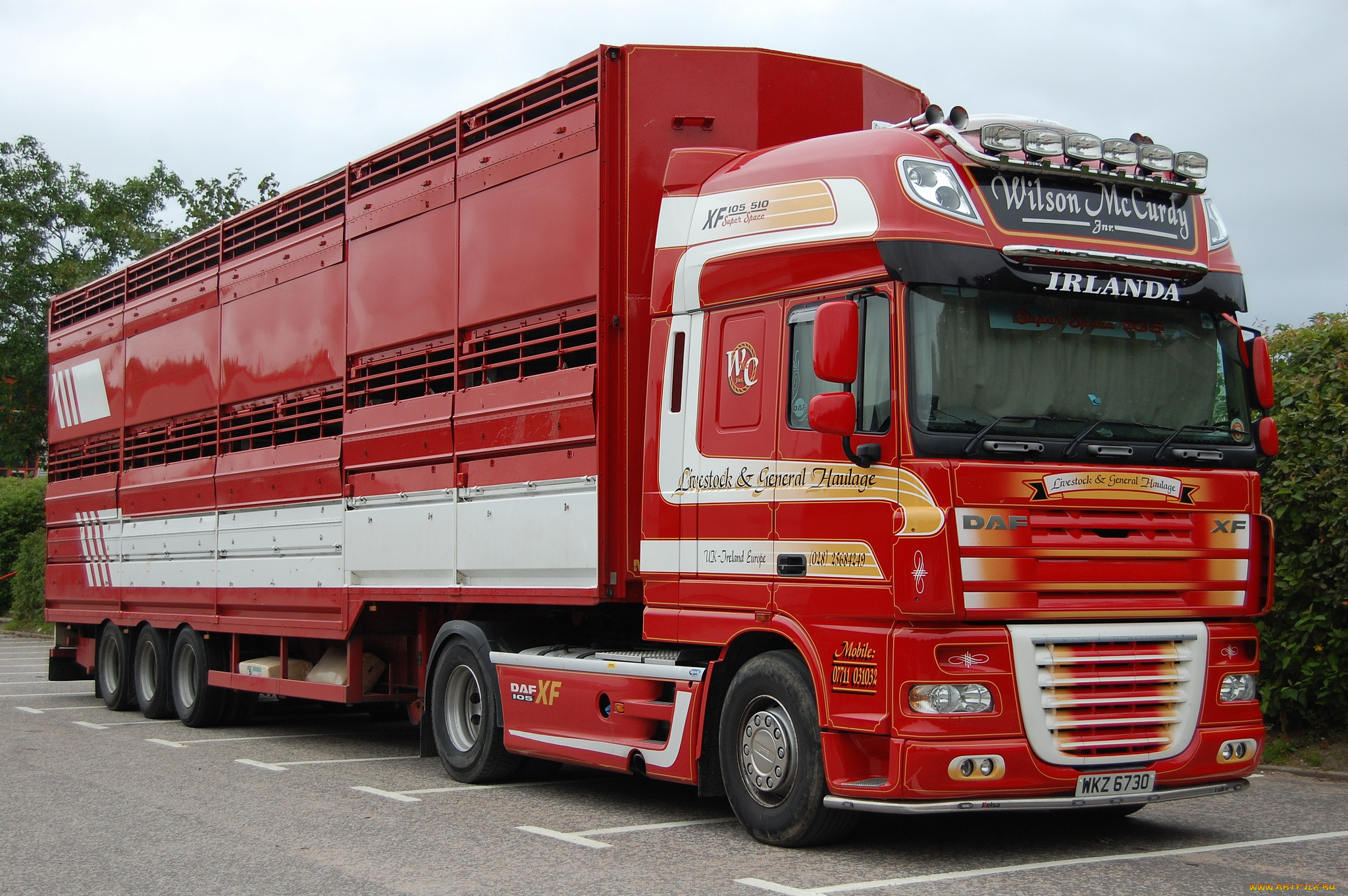 daf, автомобили, daf, , выставка, улица, автобусы, седельные, тягачи, trucks, nv, нидерланды, шасси