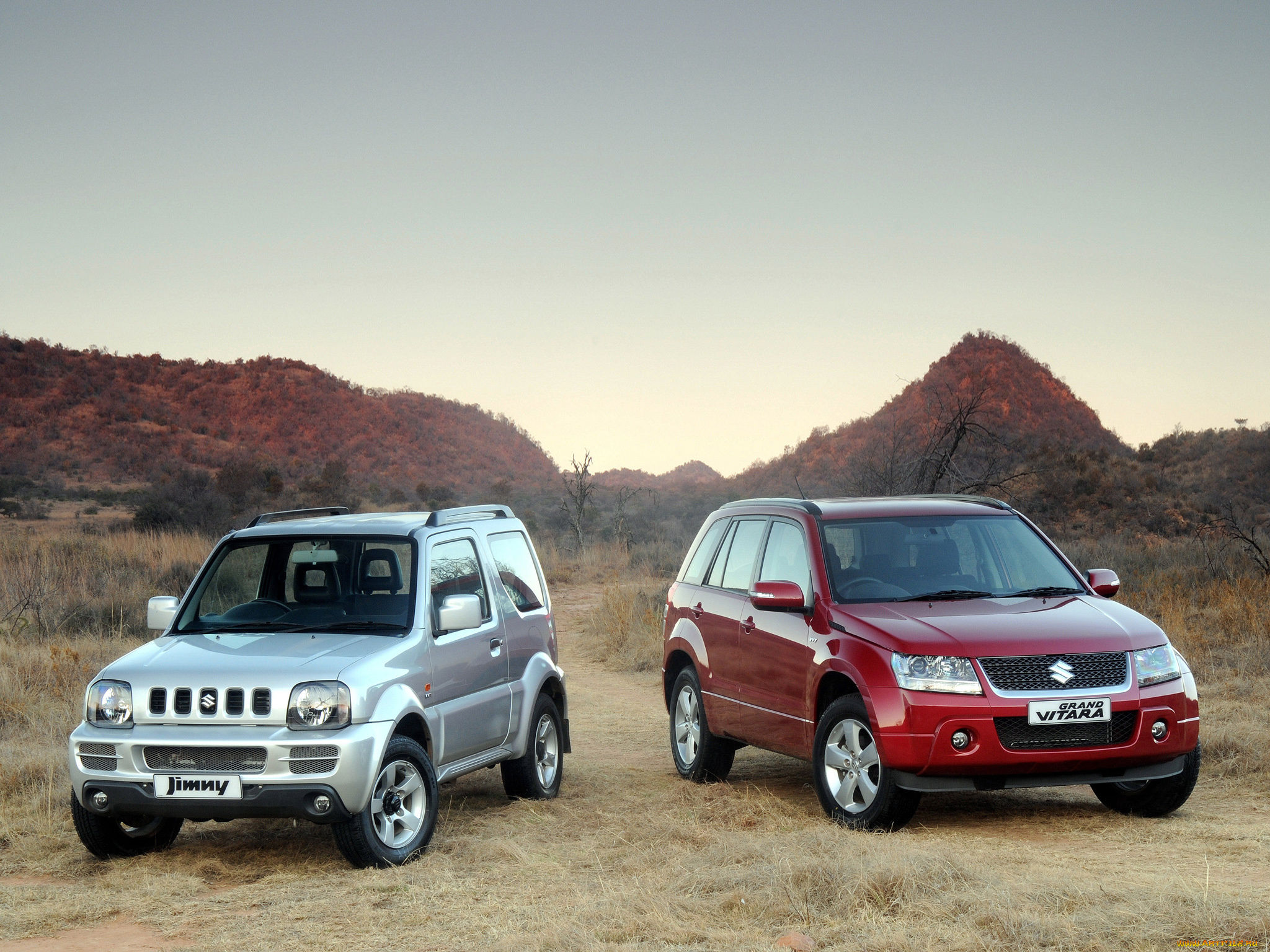 автомобили, suzuki