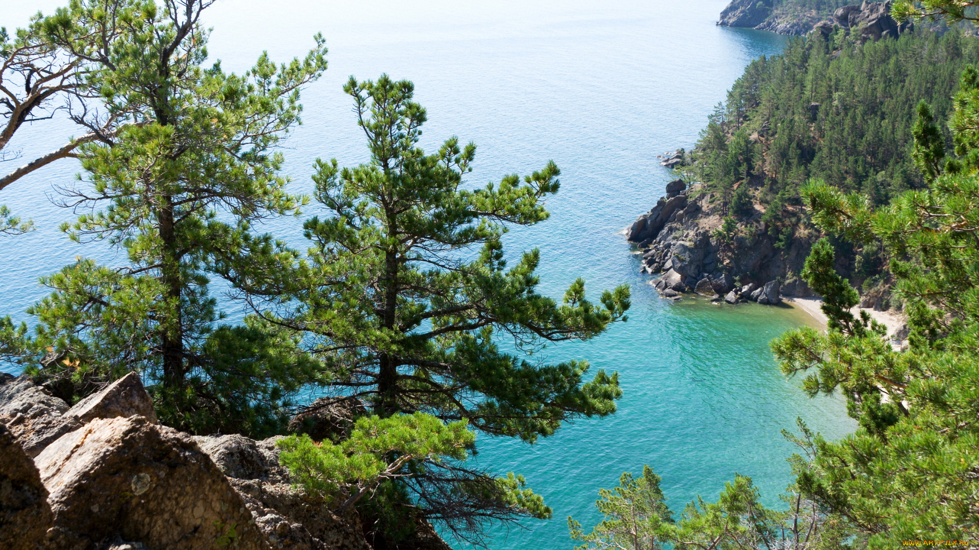 байкал, природа, реки, озера, озеро, деревья, обрыв