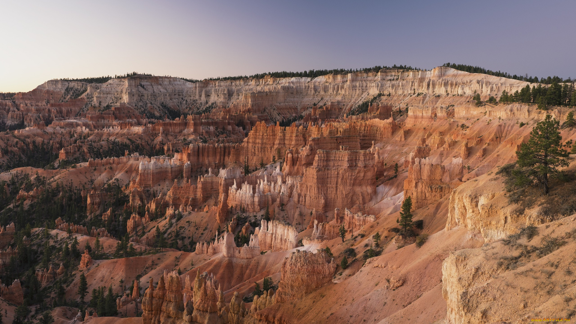 природа, горы, сша, деревья, скалы, каньон