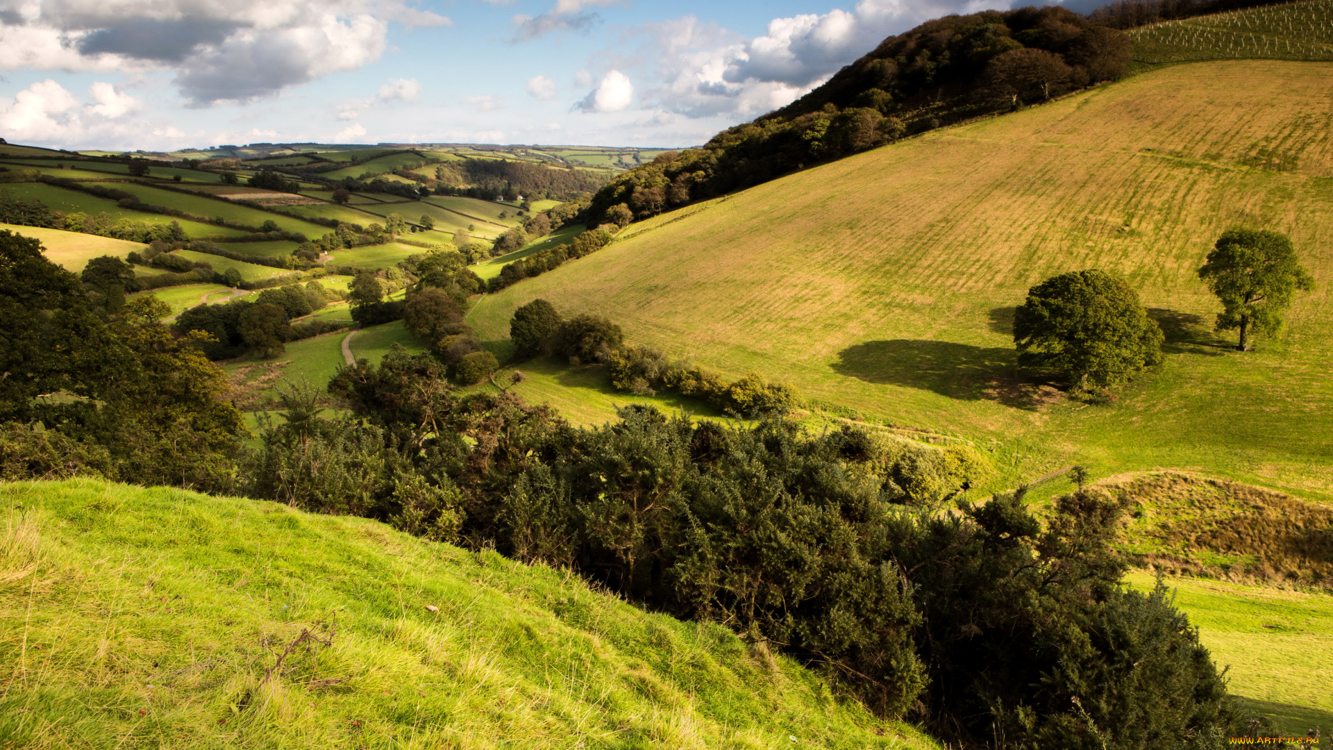 природа, пейзажи, деревья, поля, пейзаж