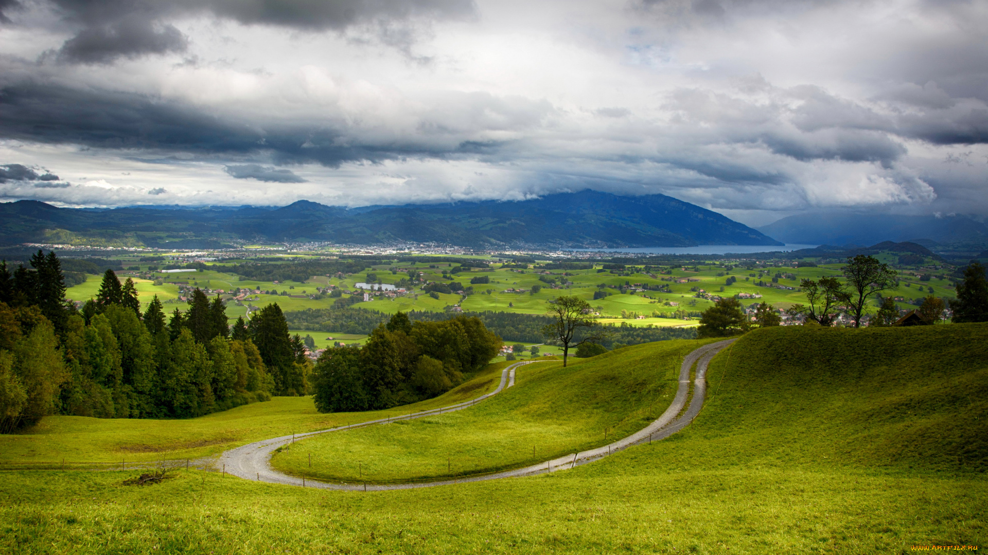 природа, пейзажи, поля, швейцария, луга, пейзаж
