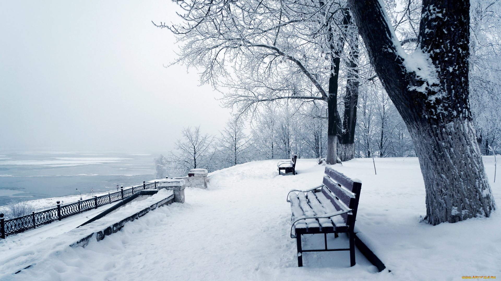природа, зима, парк, снег, деревья