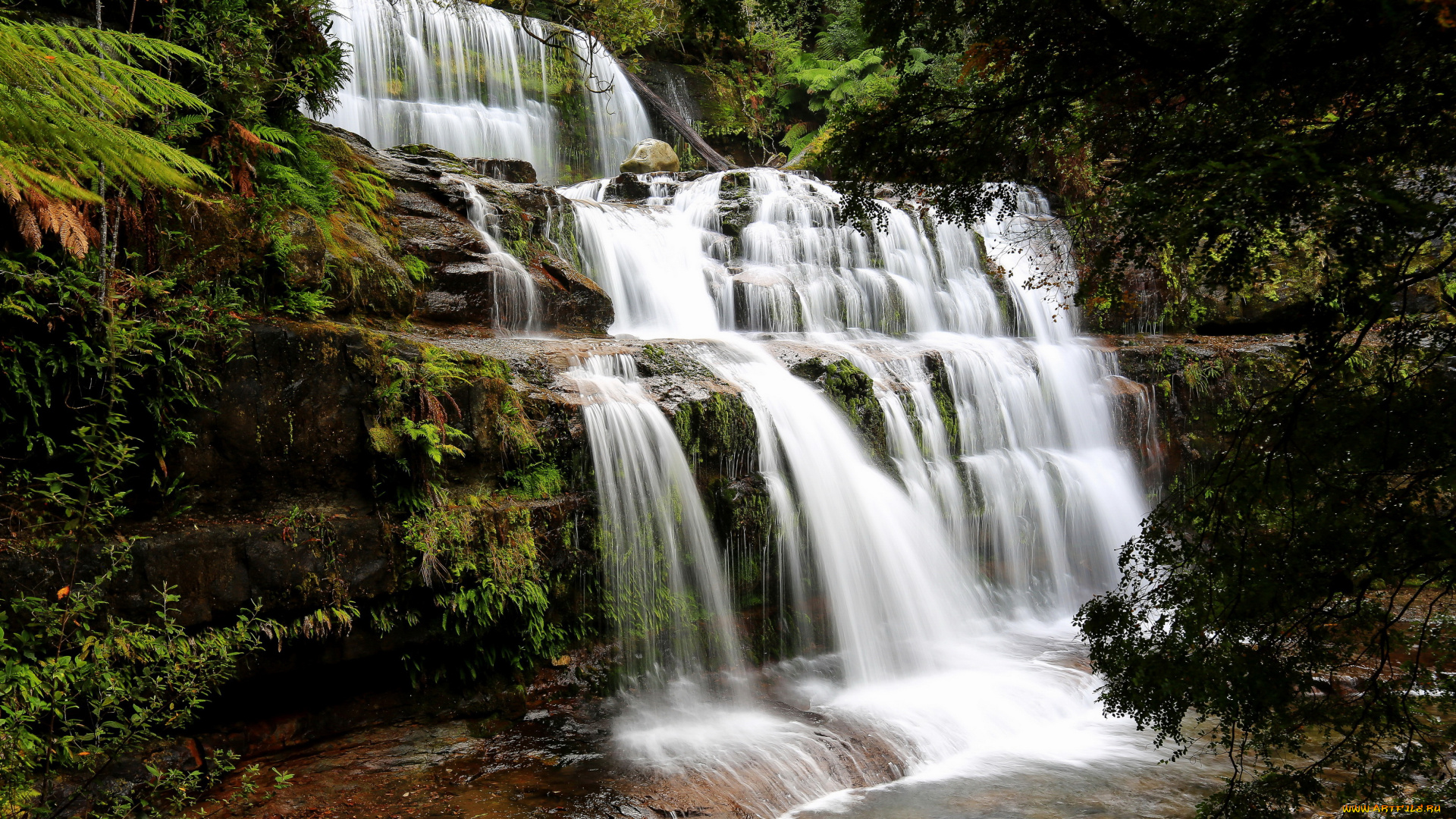 тасмания, австралия, природа, водопады, австралия, водопад, тасмания