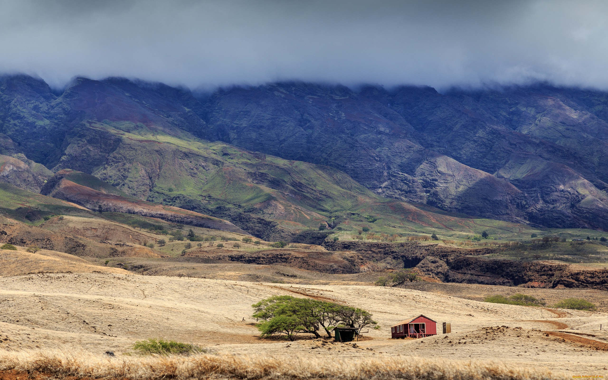 природа, горы, дом