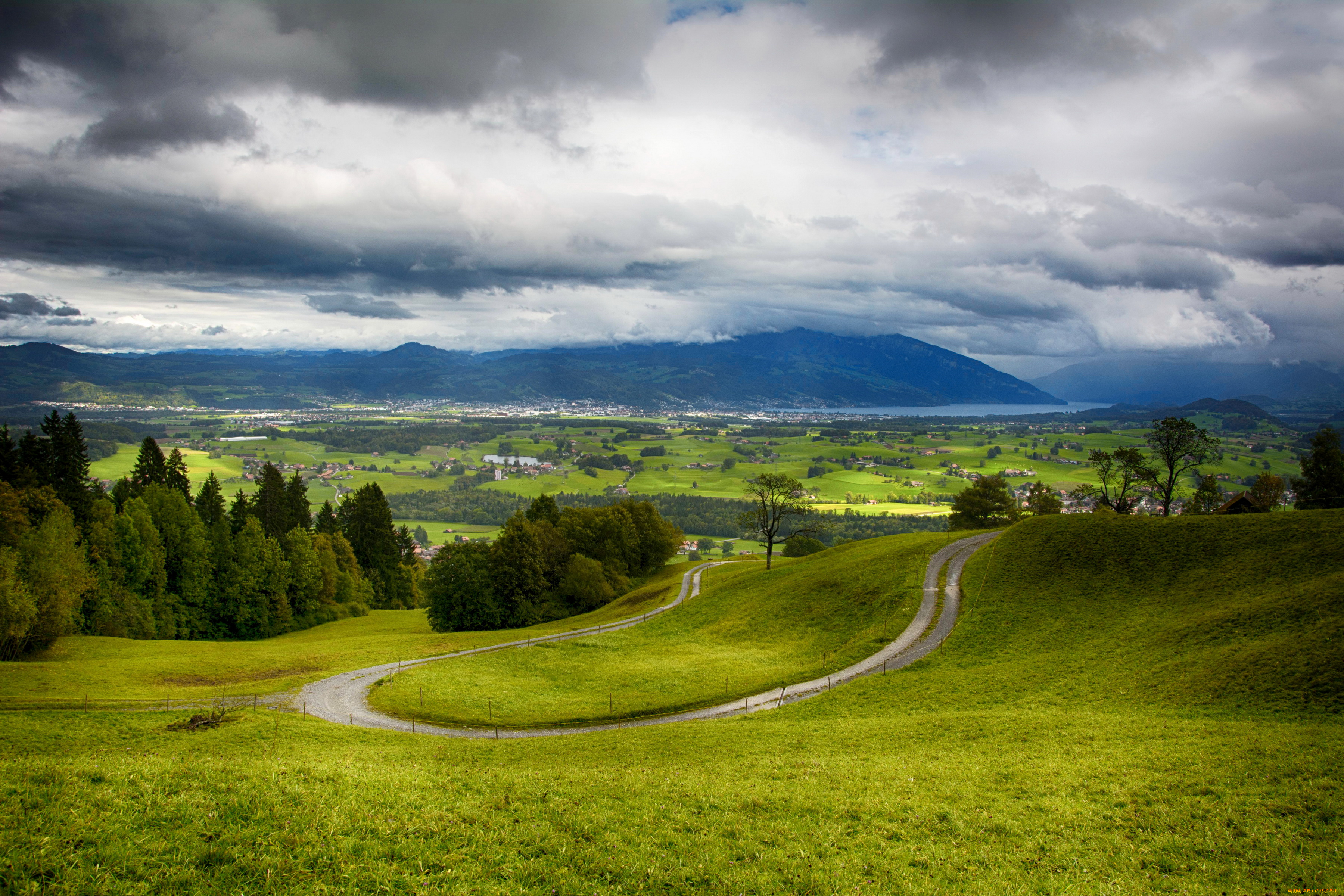 природа, пейзажи, поля, швейцария, луга, пейзаж