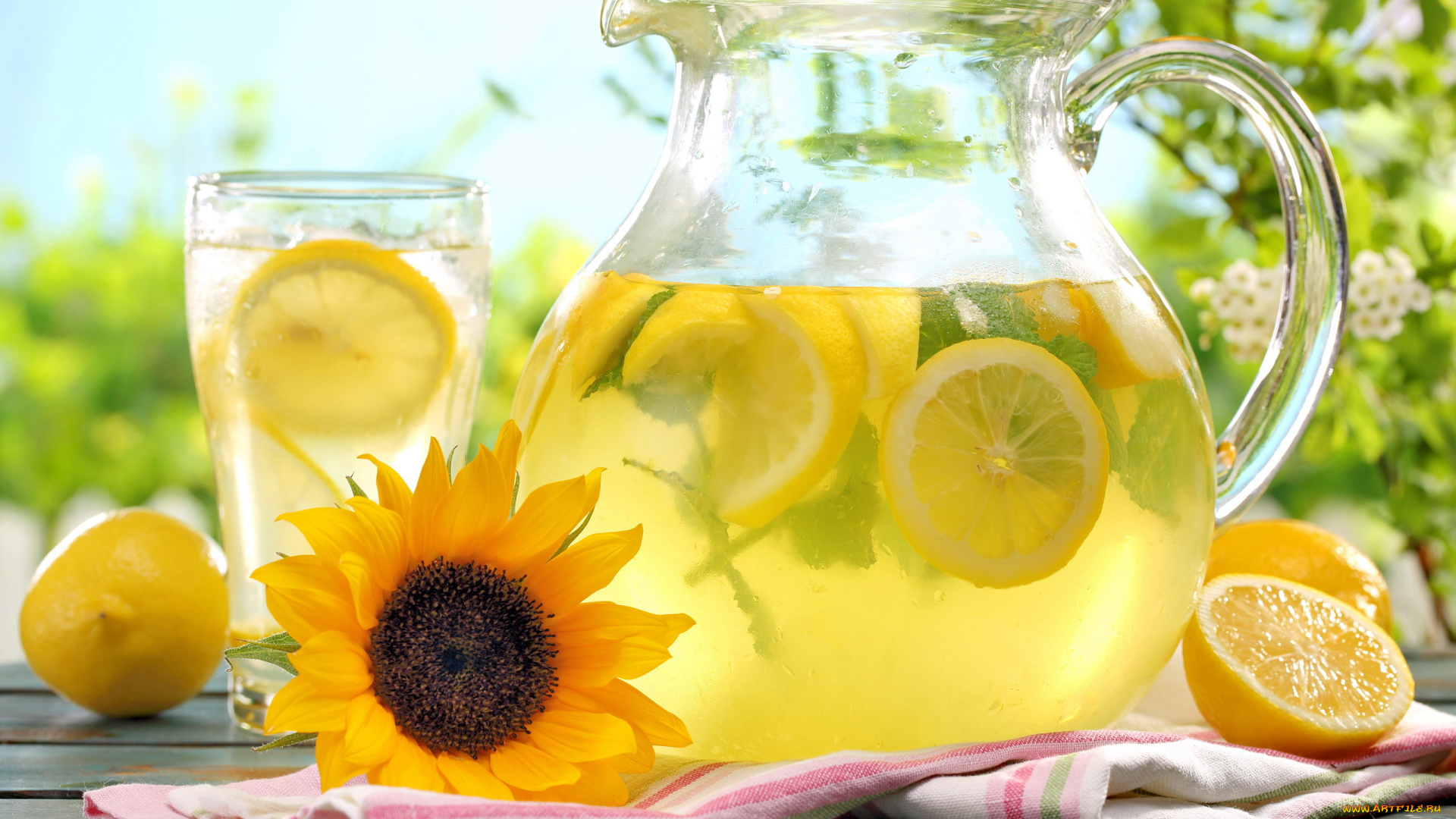 еда, напитки, лимоны, подсолнух