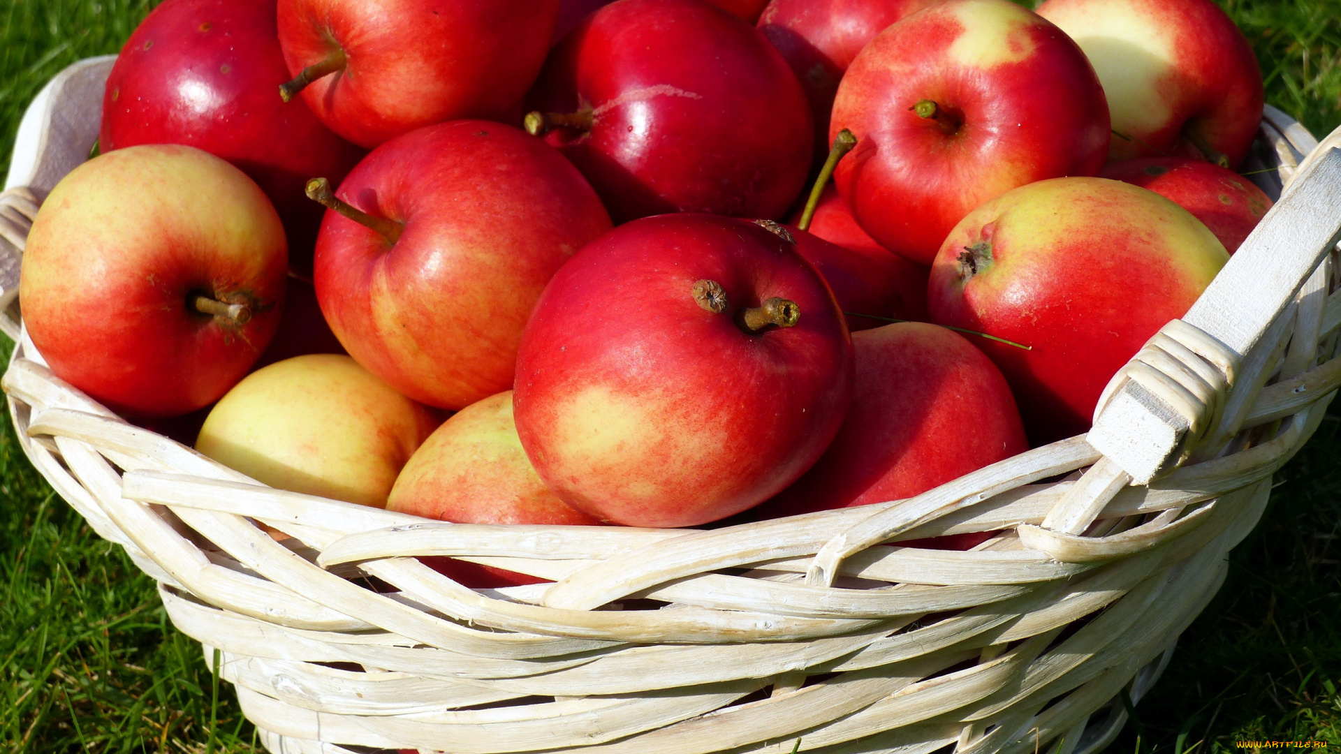еда, Яблоки, корзинка, урожай