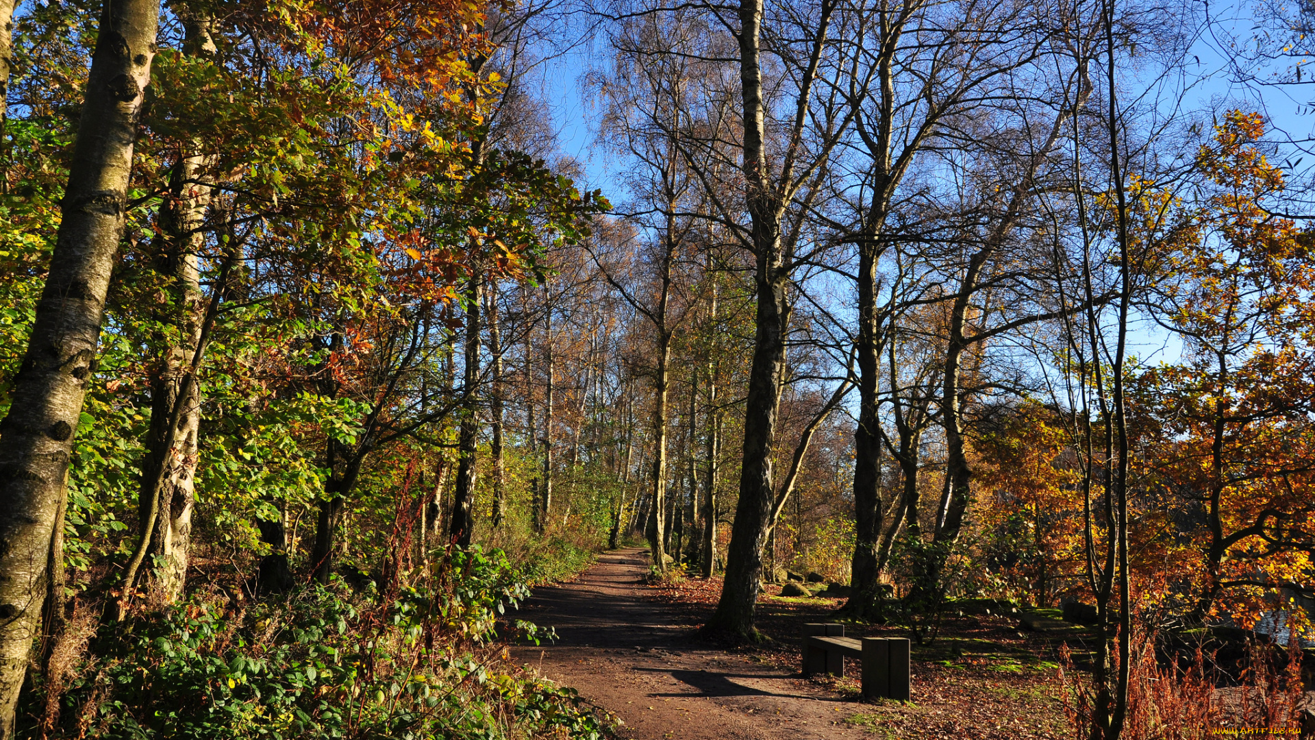 природа, дороги, тракт