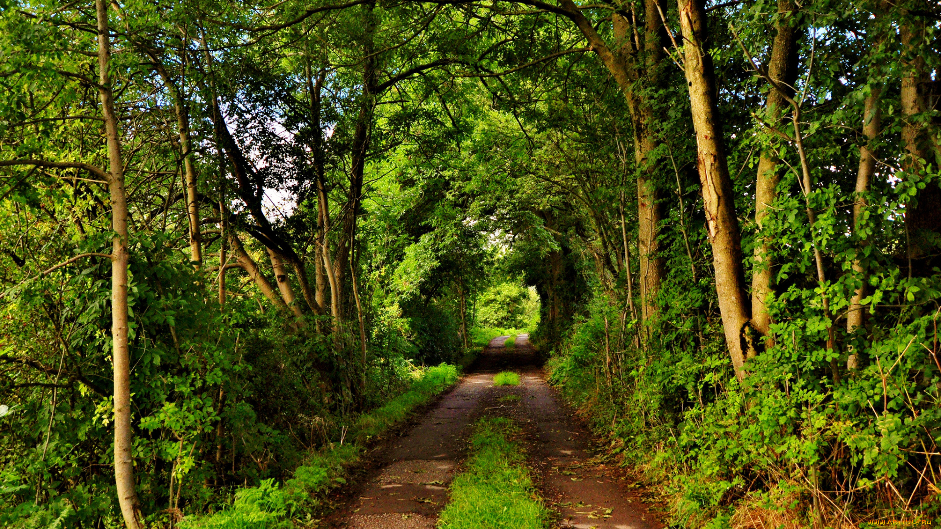 природа, дороги, тракт