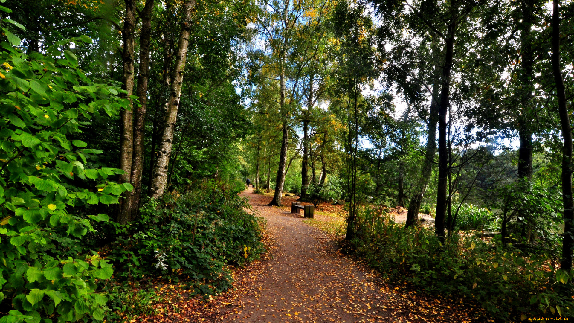 природа, дороги, тракт