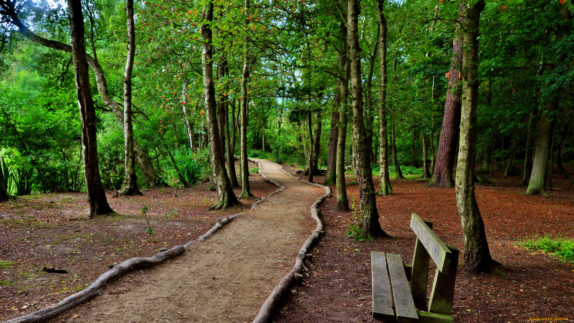 природа, дороги, тракт