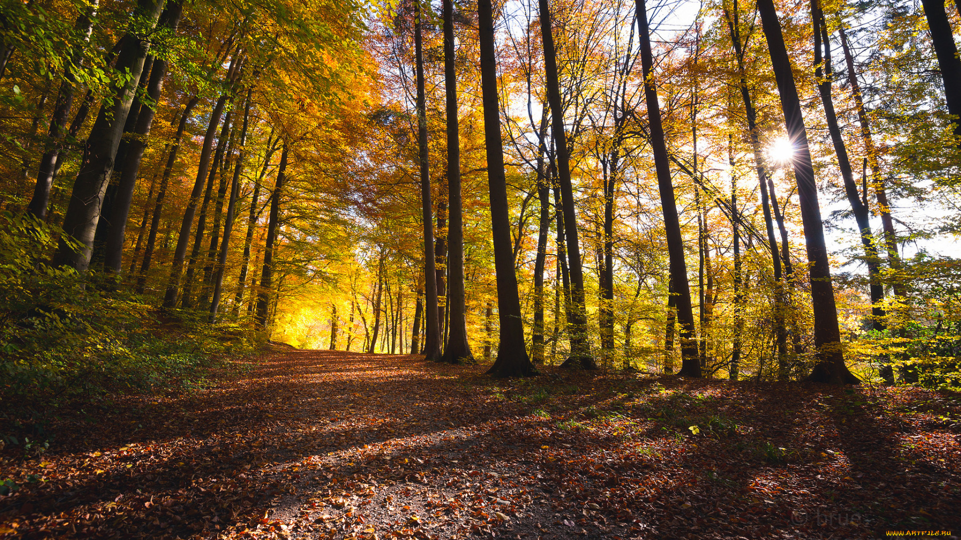 природа, дороги, тракт