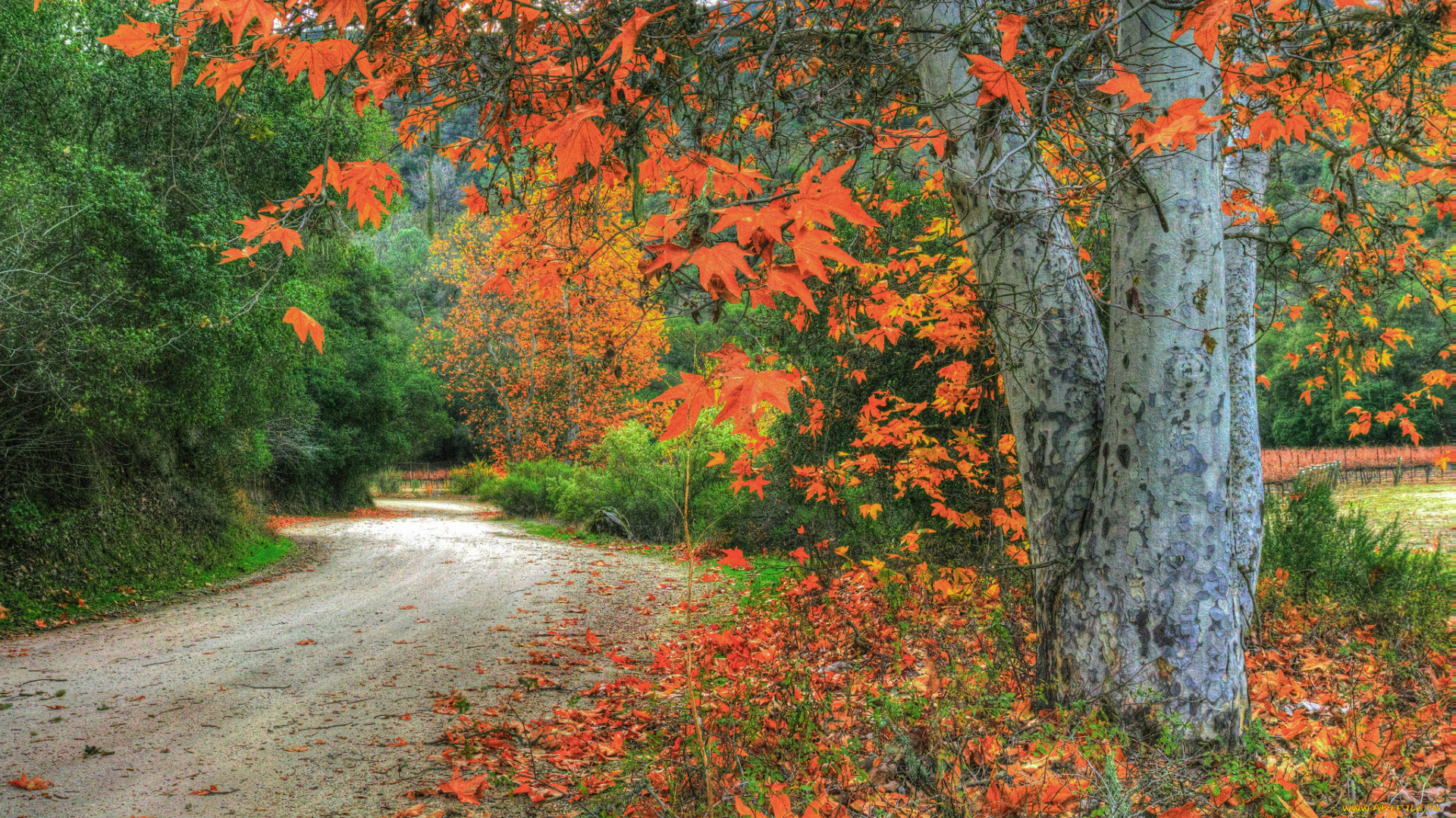 природа, дороги, тракт