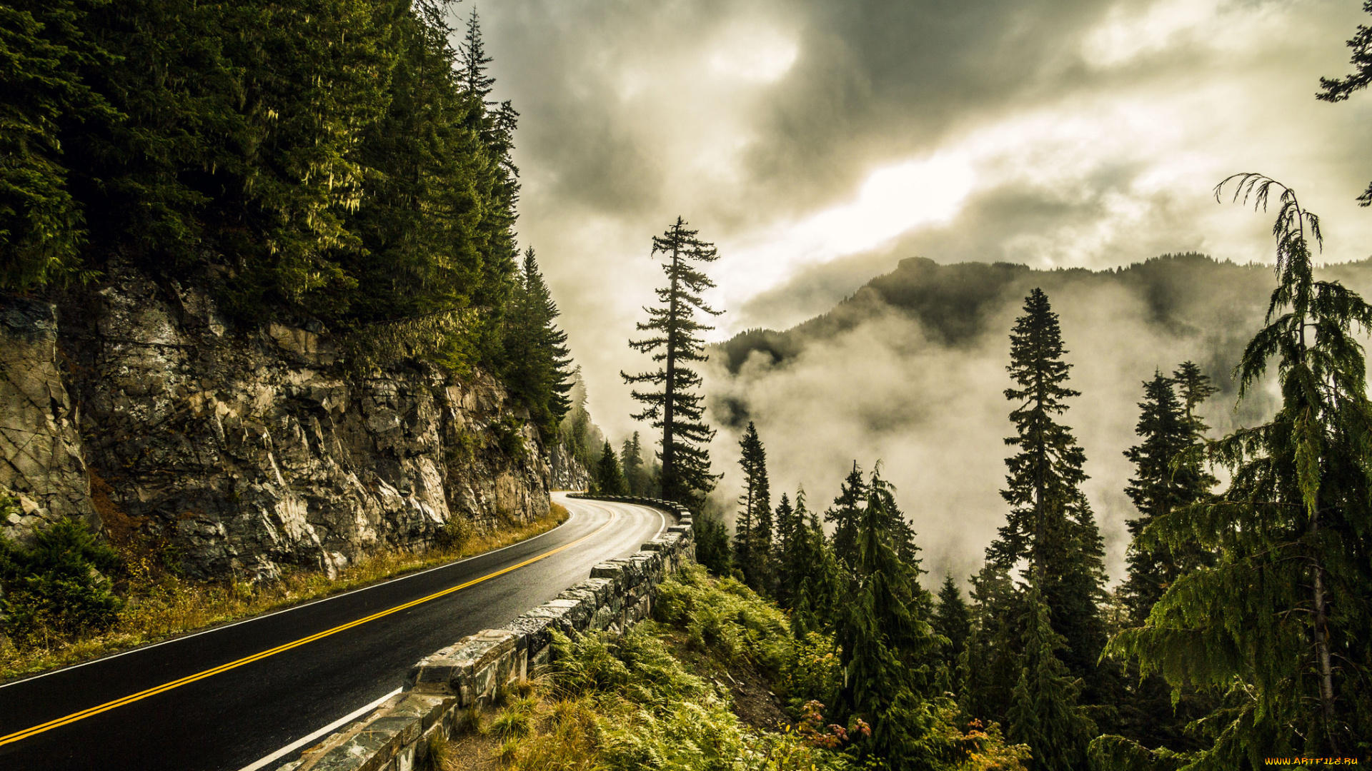 природа, дороги, тракт