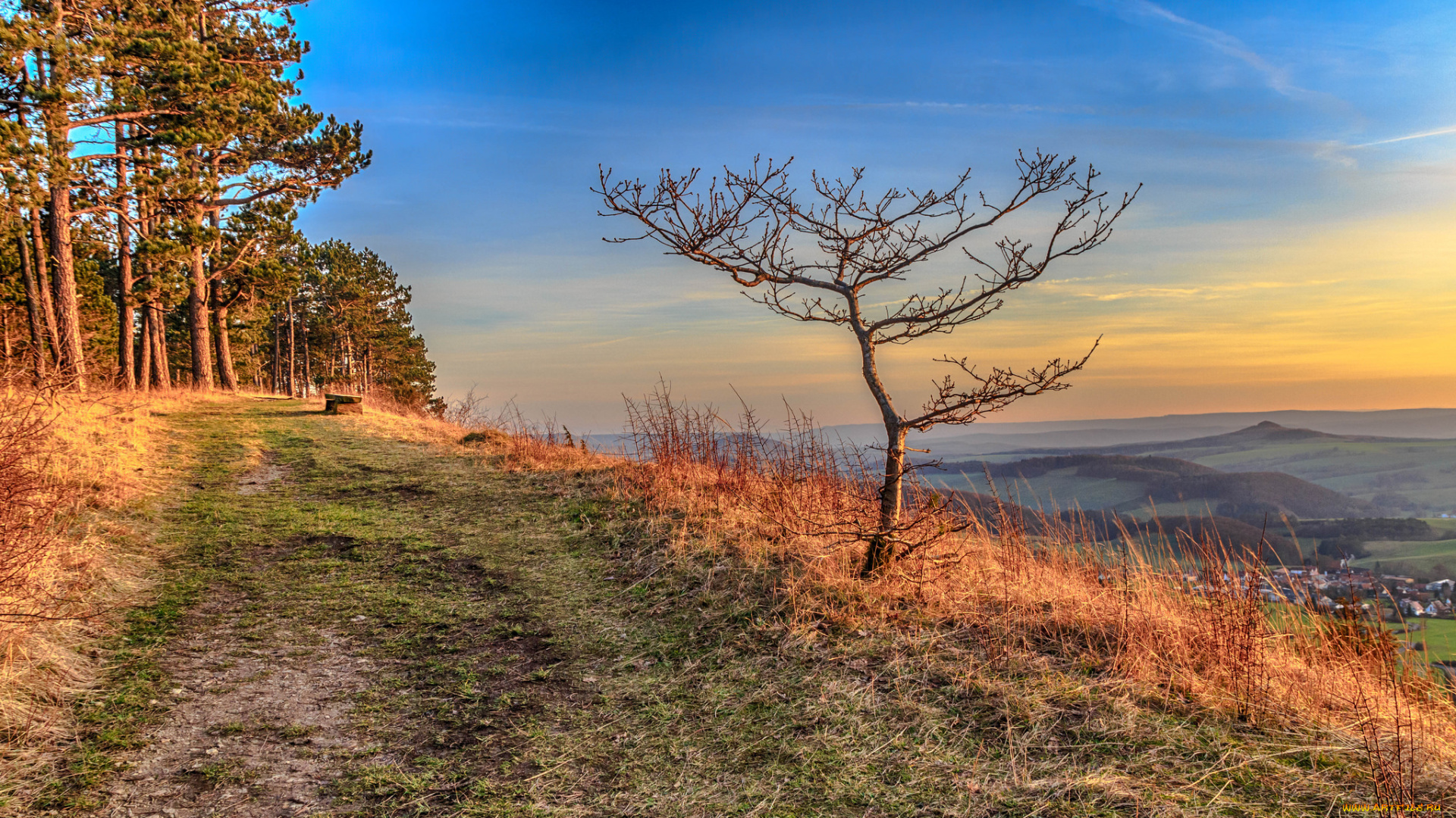 природа, дороги, тракт