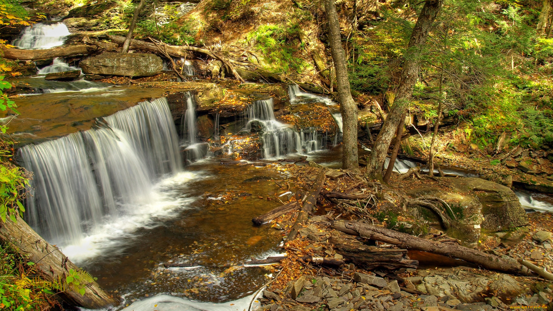 природа, водопады, лес, деревья, поток, водопад
