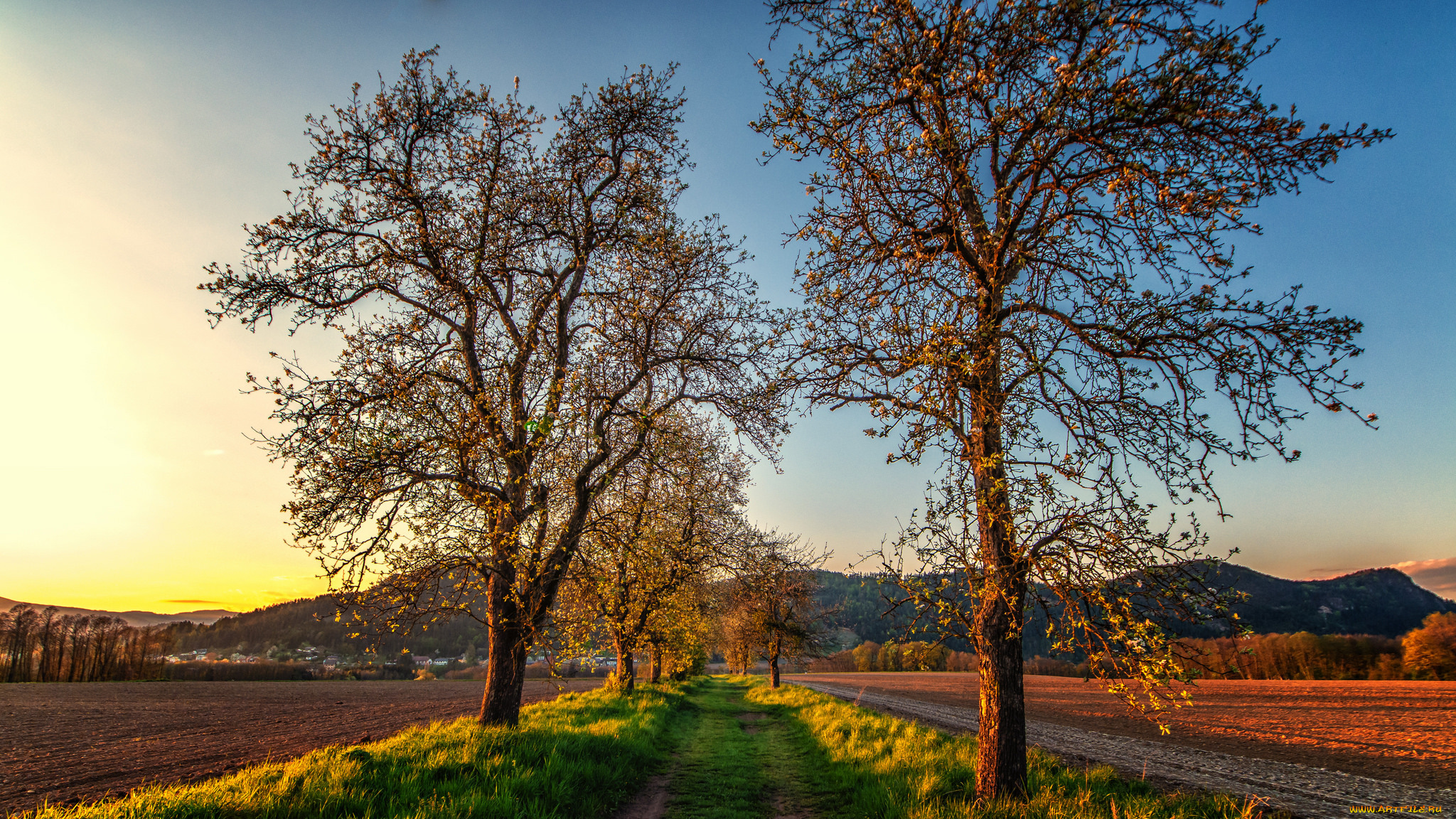 природа, дороги, тракт