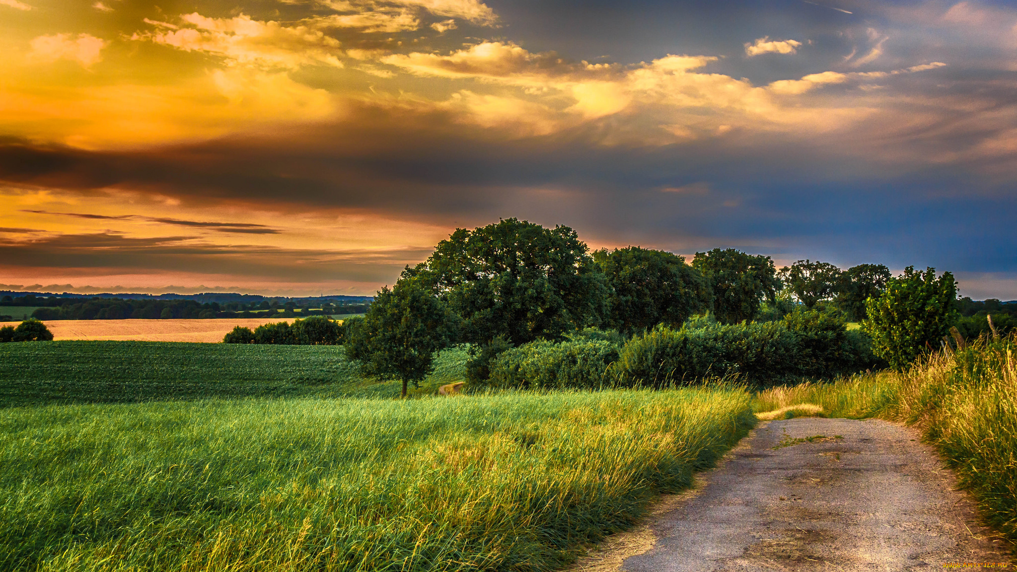 природа, дороги, тракт