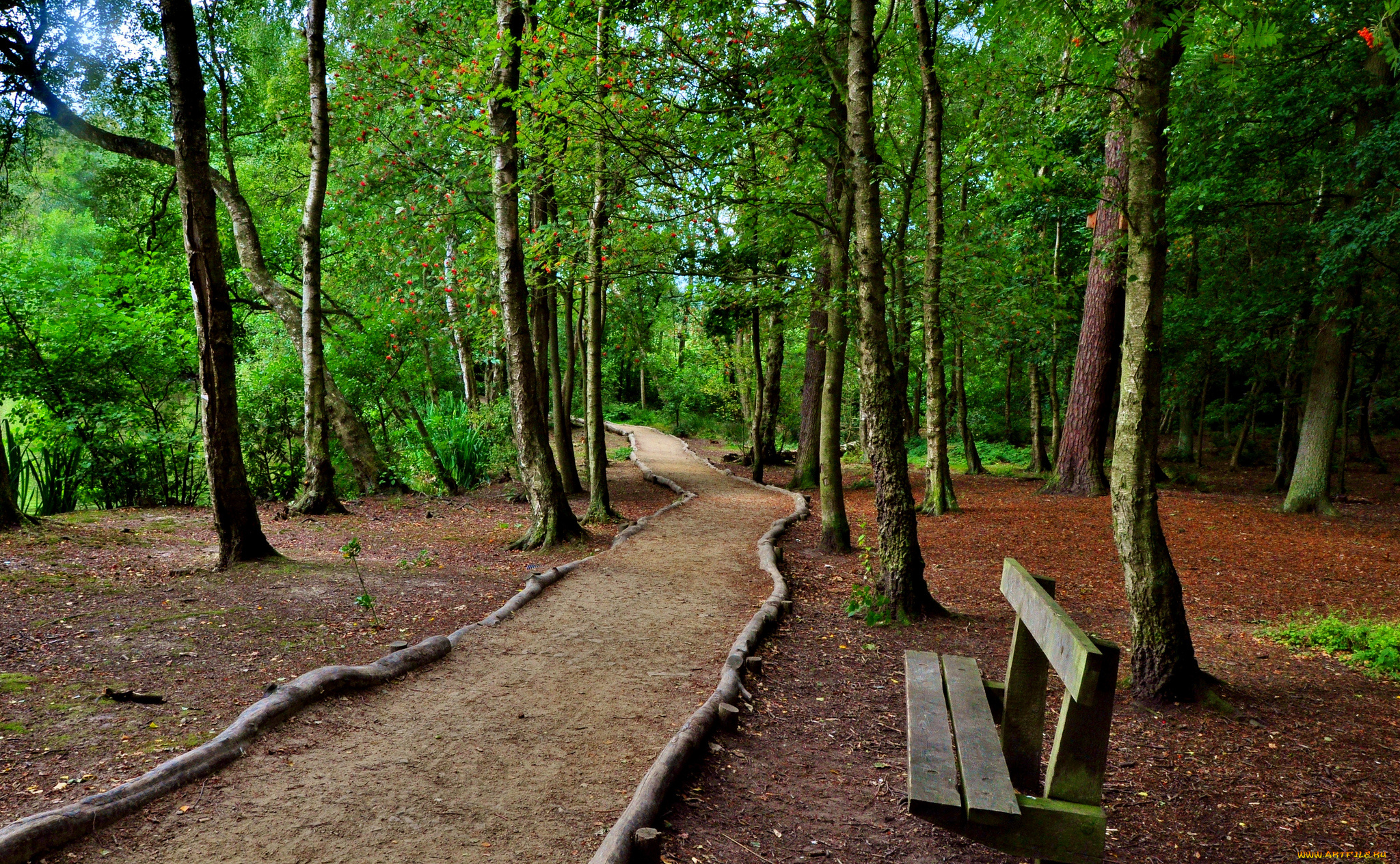 природа, дороги, тракт