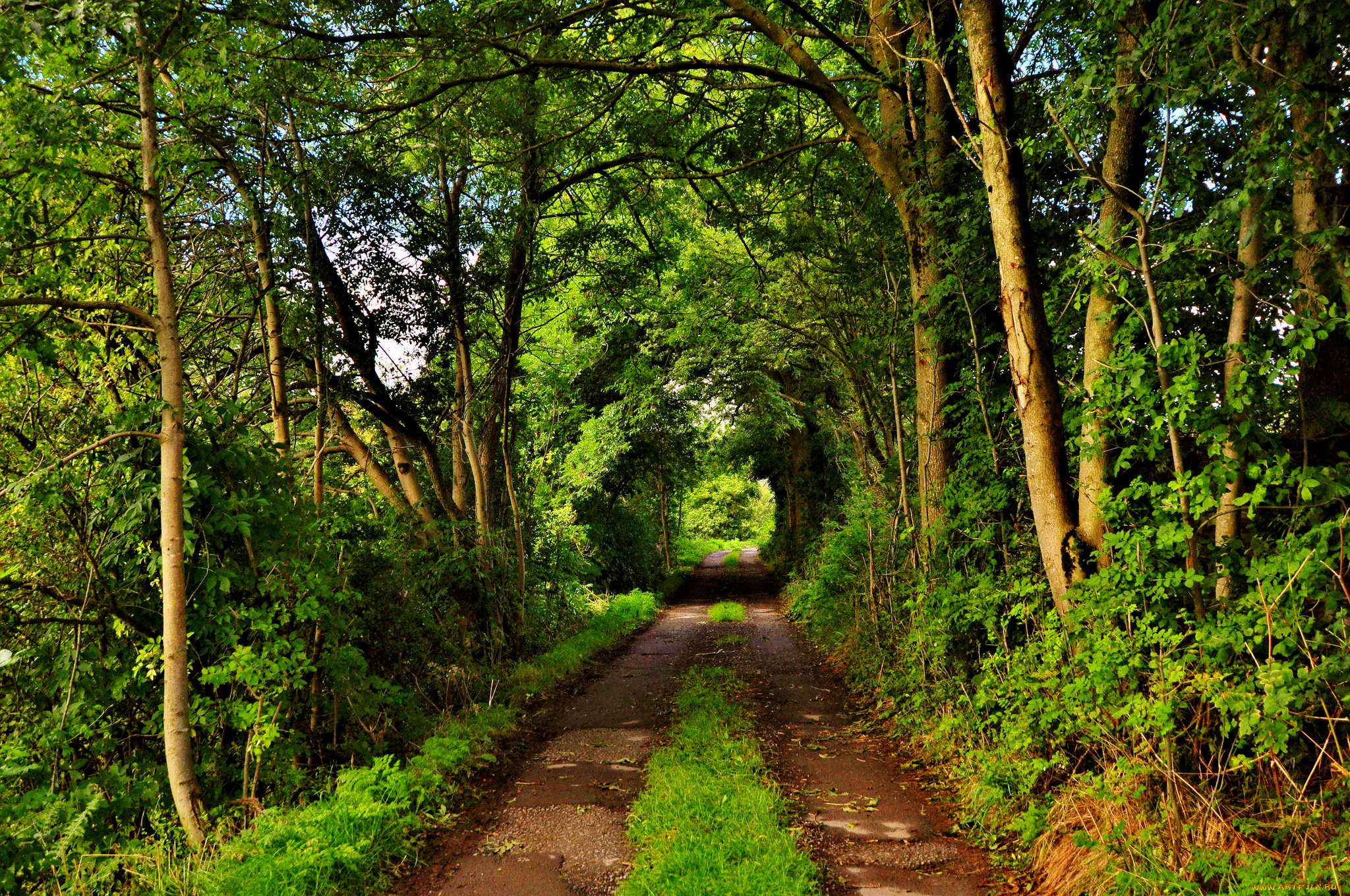 природа, дороги, тракт