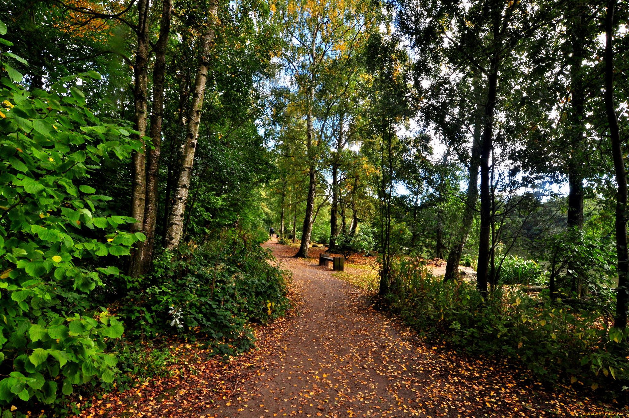 природа, дороги, тракт