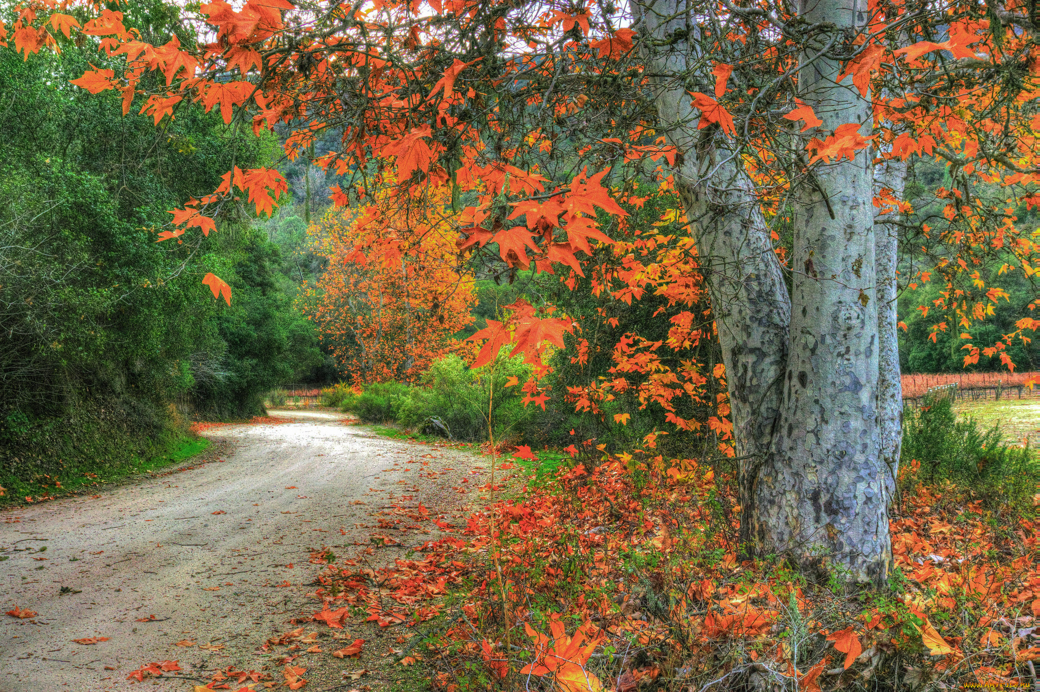 природа, дороги, тракт