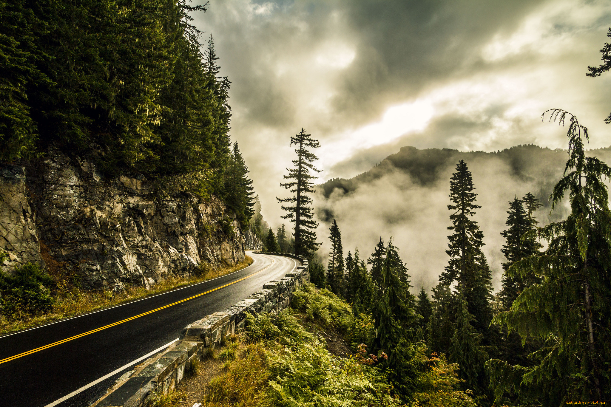 природа, дороги, тракт