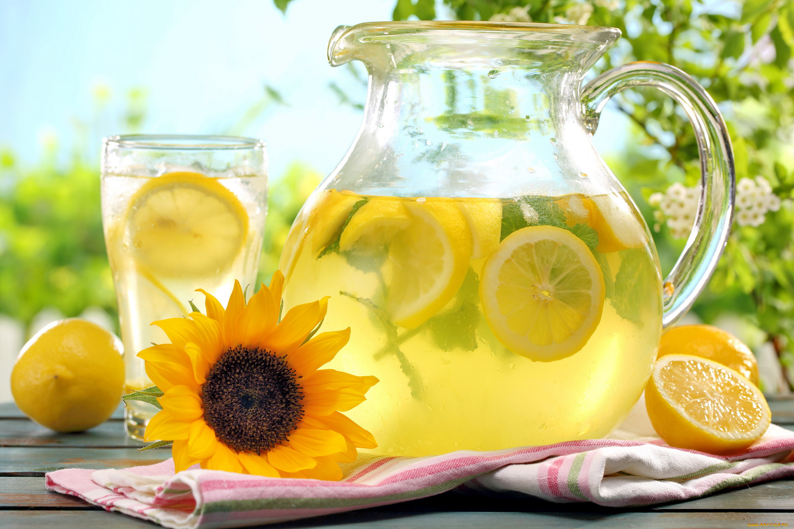 еда, напитки, лимоны, подсолнух