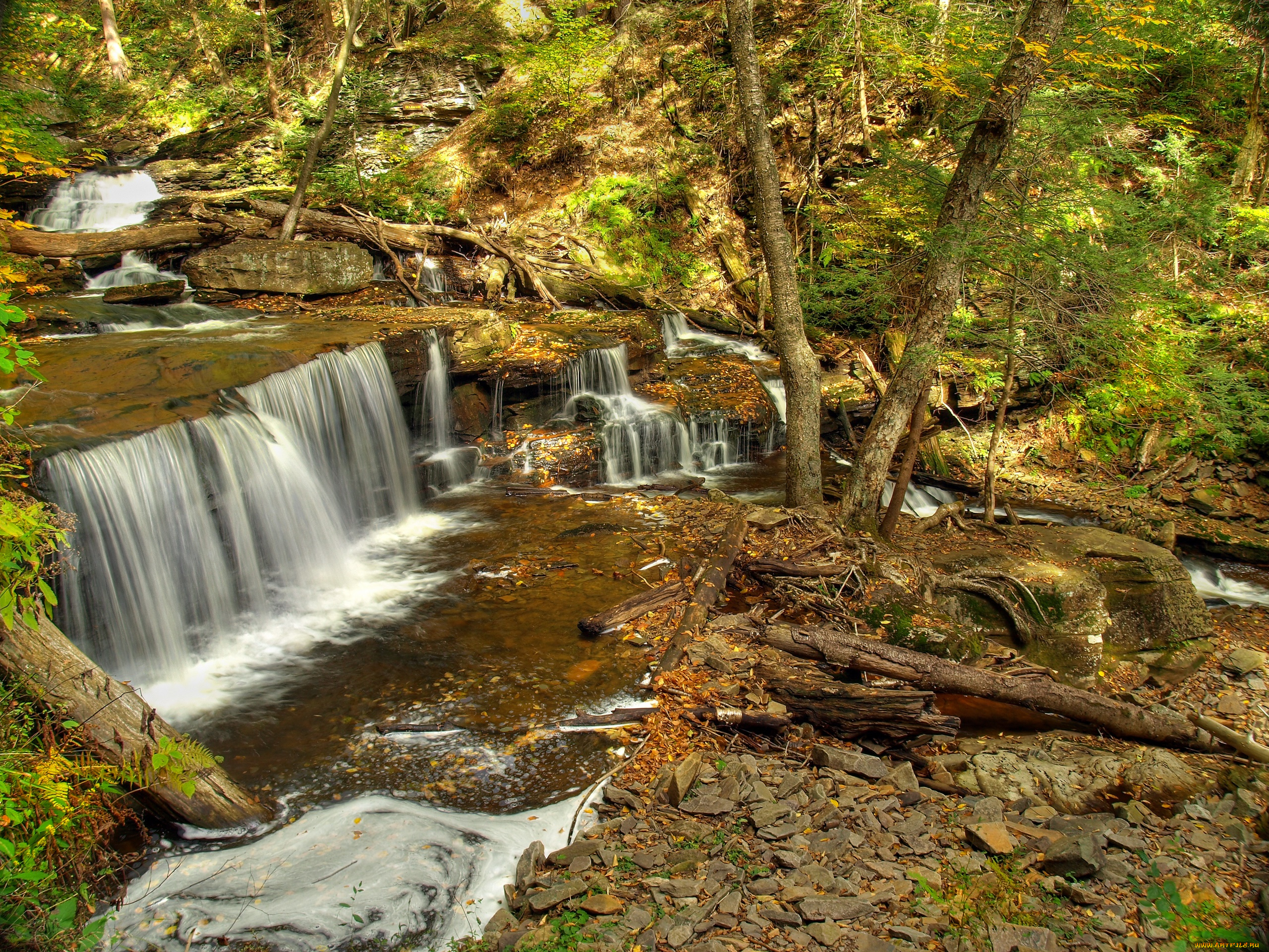 природа, водопады, лес, деревья, поток, водопад