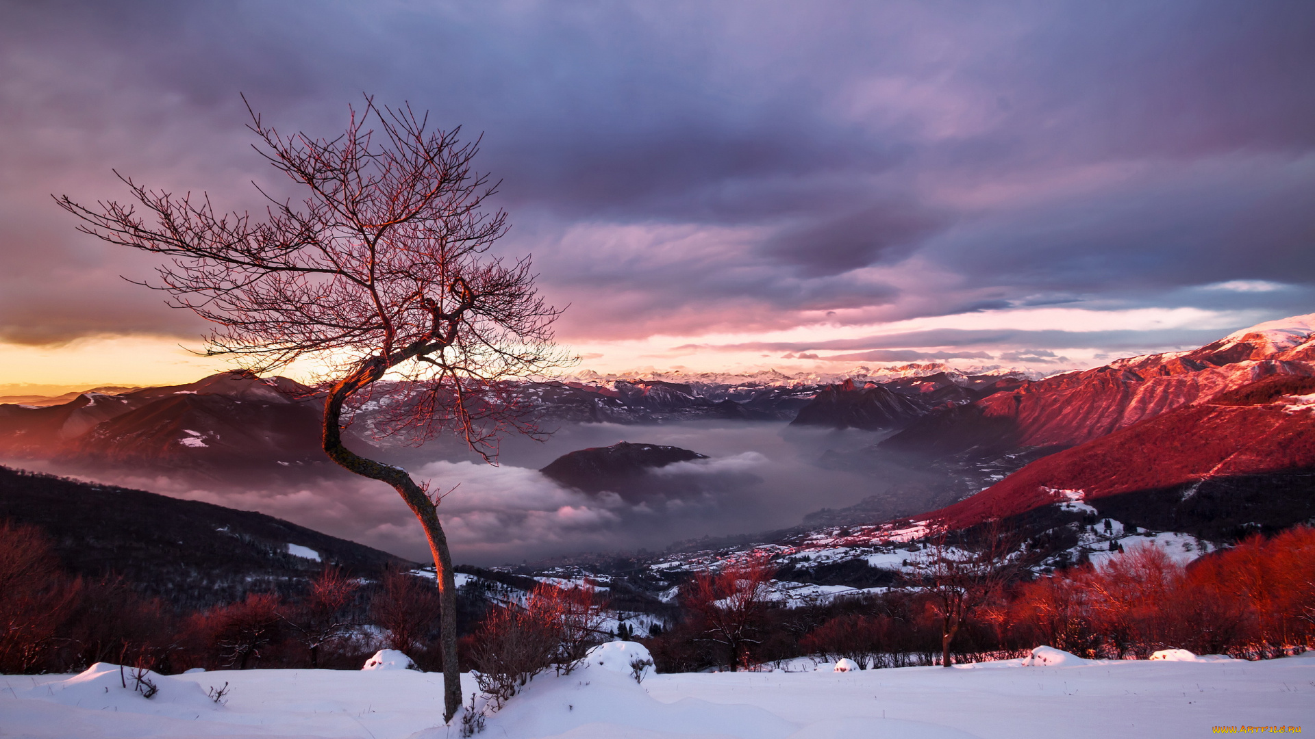 природа, пейзажи, горы, небо, дерево