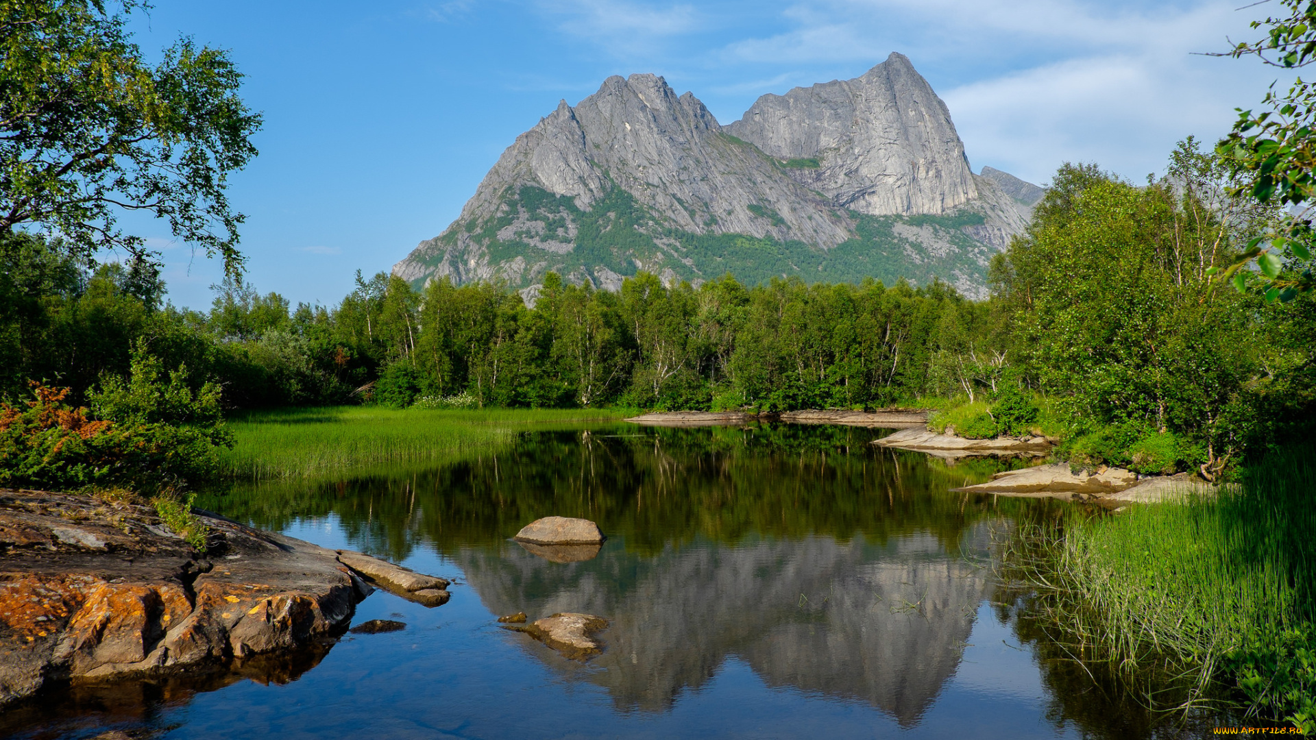 природа, реки, озера, река, лес