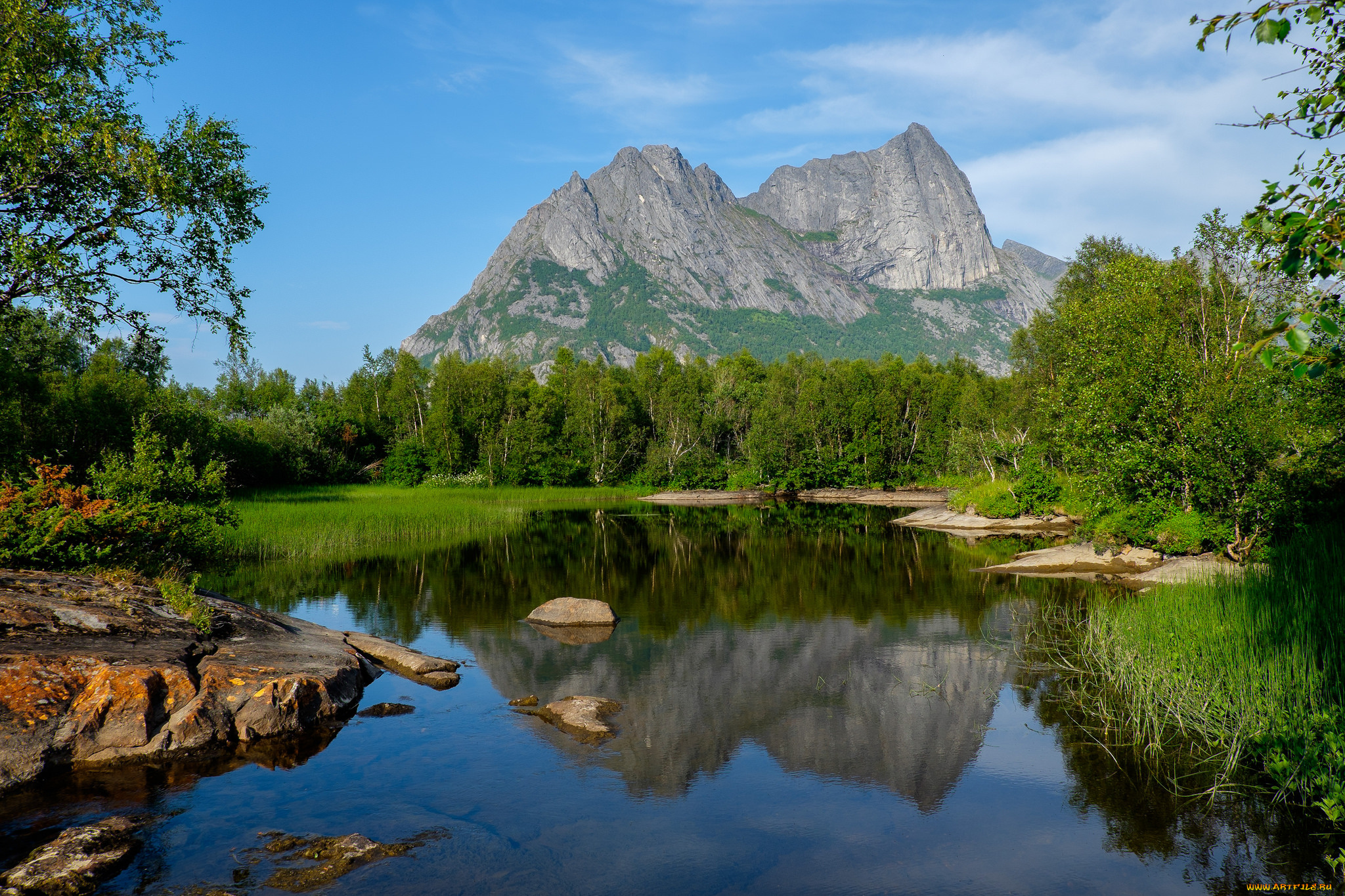 природа, реки, озера, река, лес