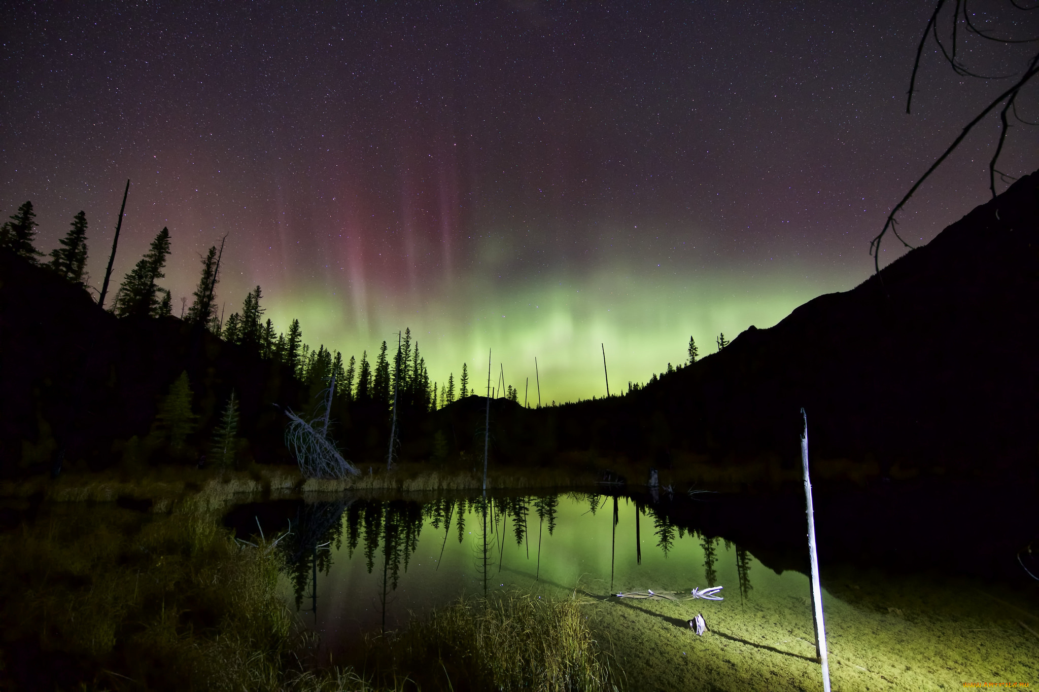 природа, северное, сияние, лес, болота, ночь, звезды, небо, северное, сияние